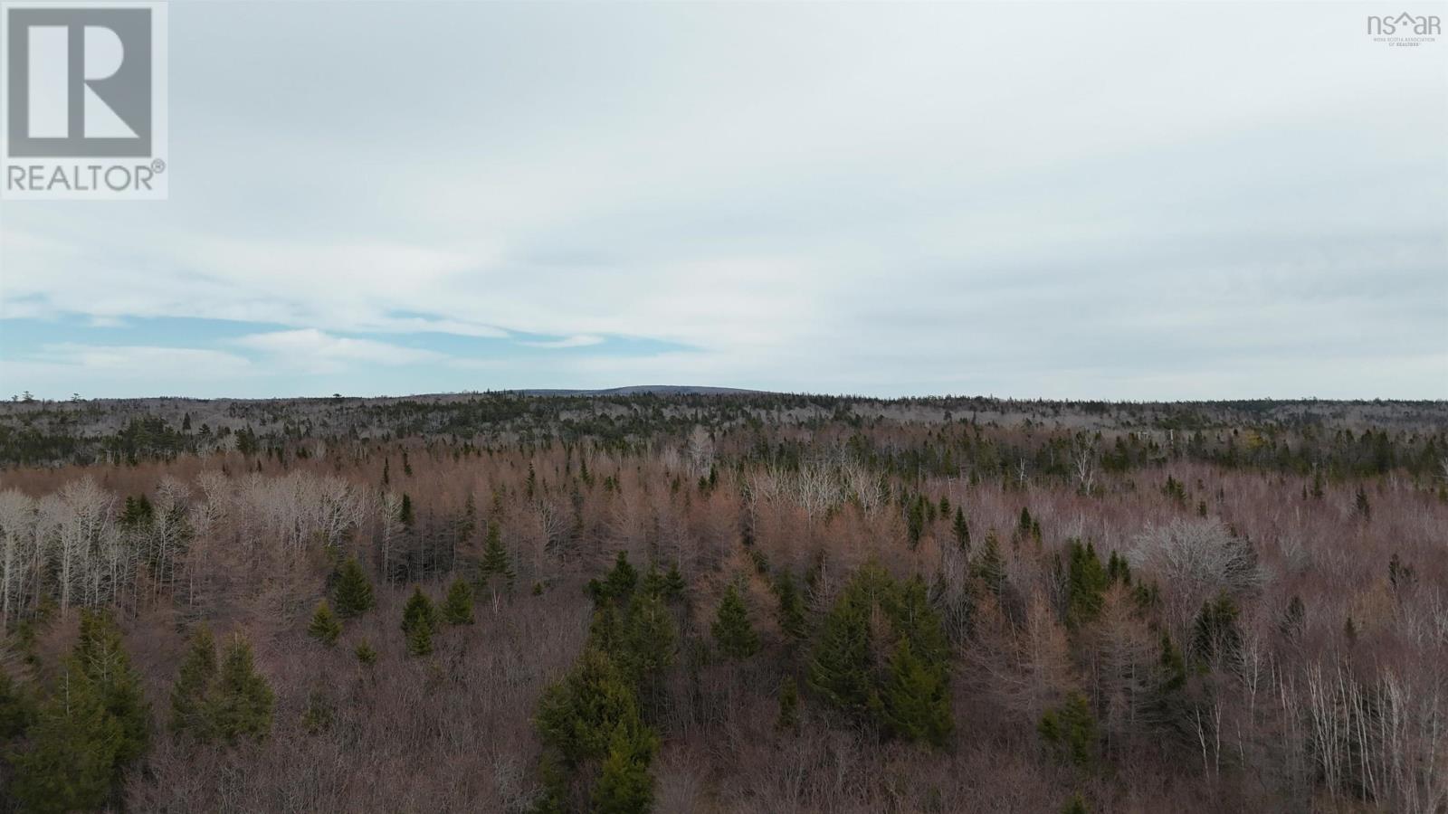 0 Highway 223 Property Photo 5