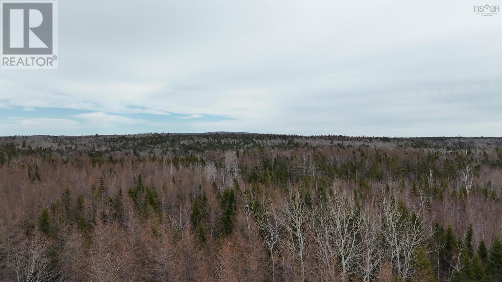 0 Highway 223 Property Photo 6