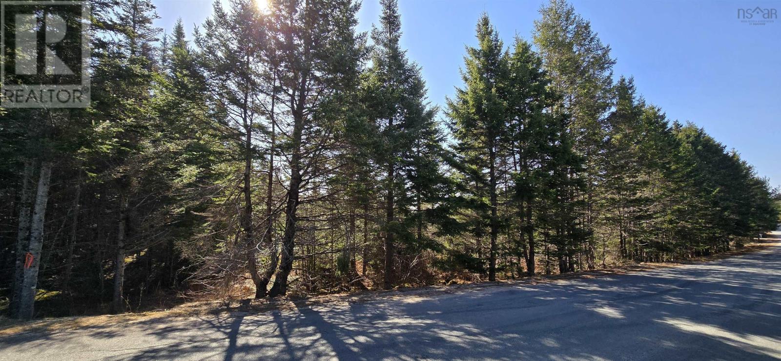 Lot 2021-2 Lacey Mines Road Property Photo 1