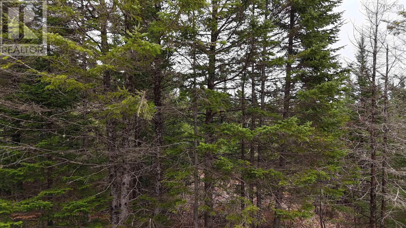 Lot 2021-2 Lacey Mines Road Property Photo 3
