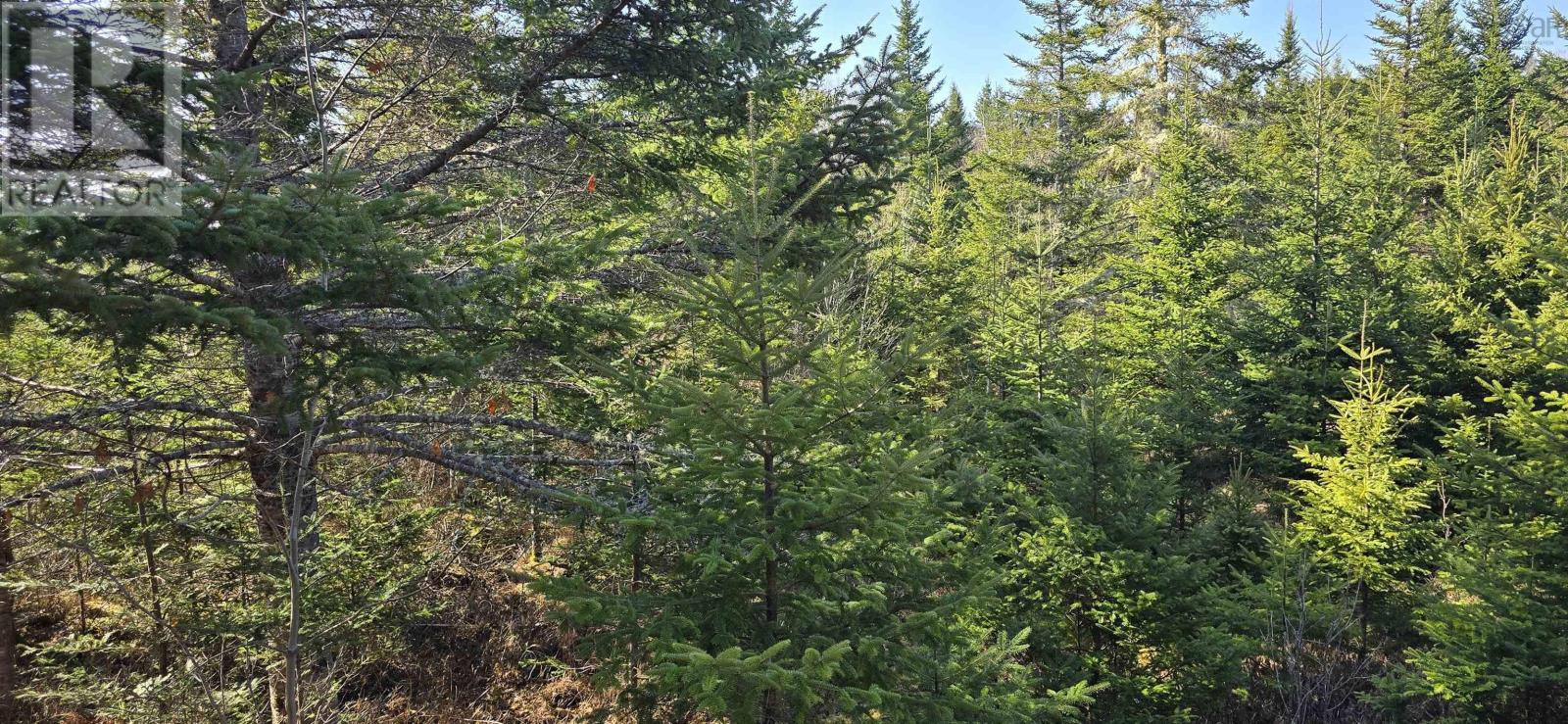 Lot 2021-2 Lacey Mines Road Property Photo 4