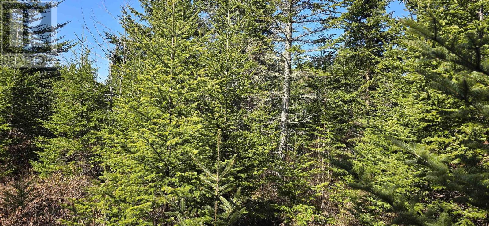 Lot 2021-2 Lacey Mines Road Property Photo 5