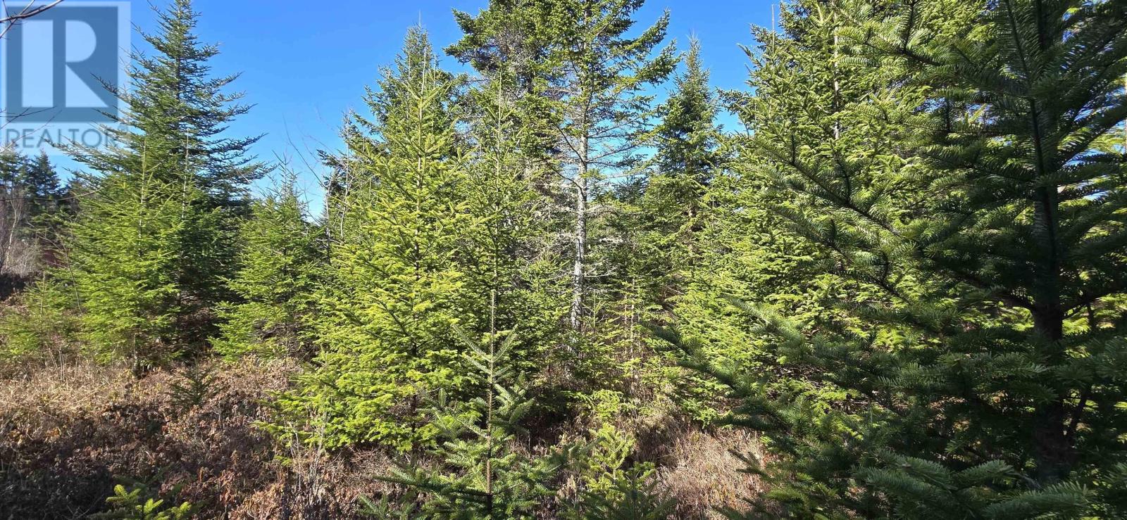 Lot 2021-2 Lacey Mines Road Property Photo 6