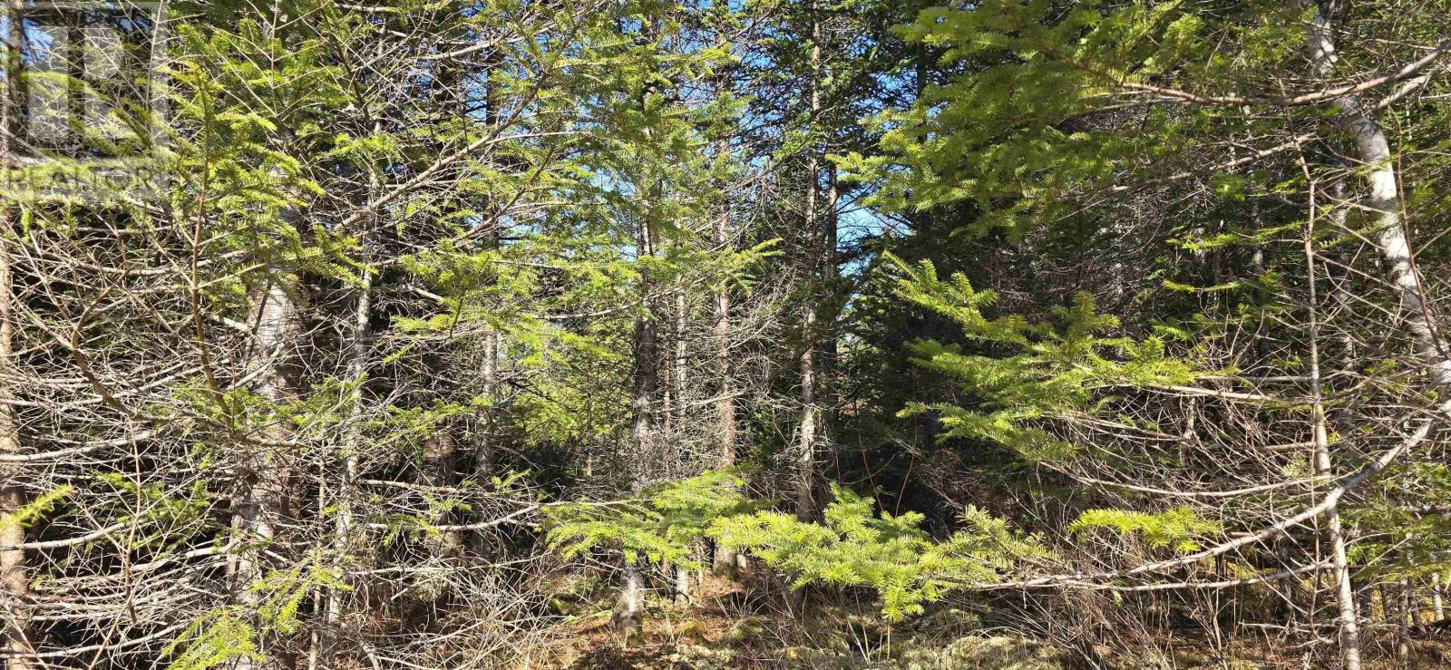 Lot 2021-2 Lacey Mines Road Property Photo 7