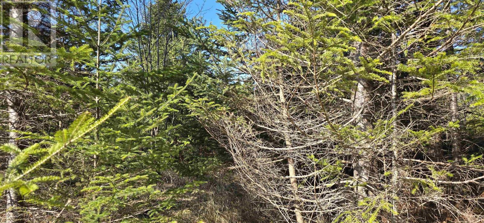 Lot 2021-2 Lacey Mines Road Property Photo 8