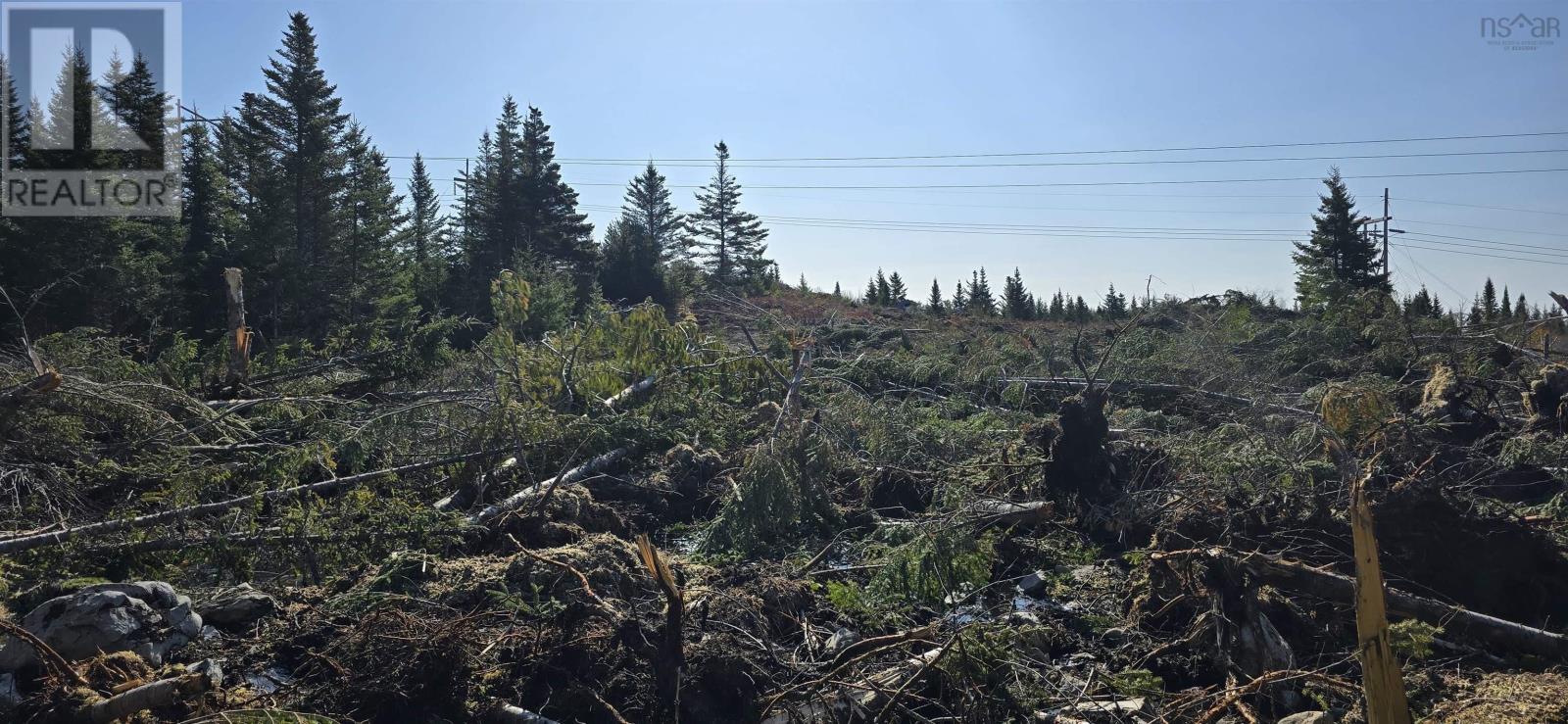 Lot 2021-2 Lacey Mines Road Property Photo 10