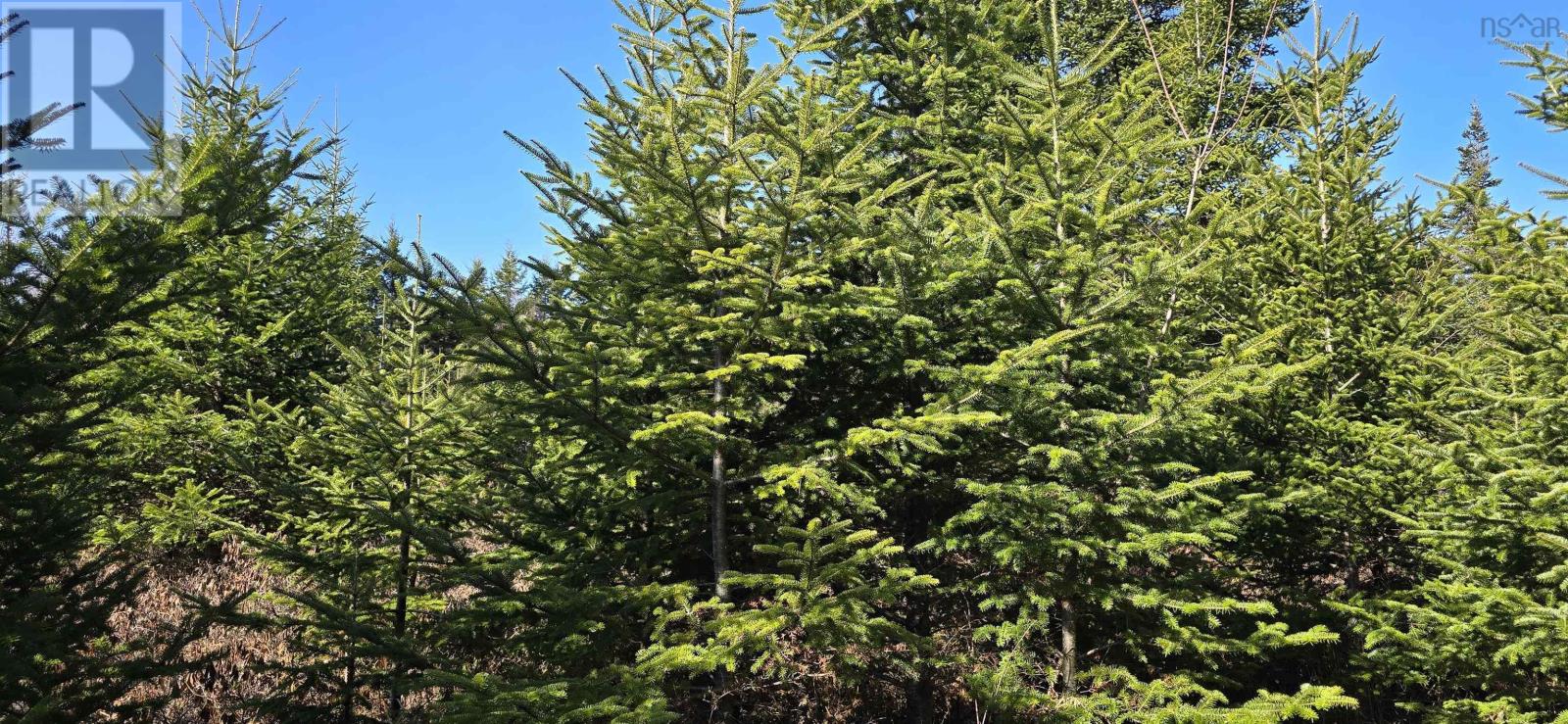 Lot 2021-2 Lacey Mines Road Property Photo 11