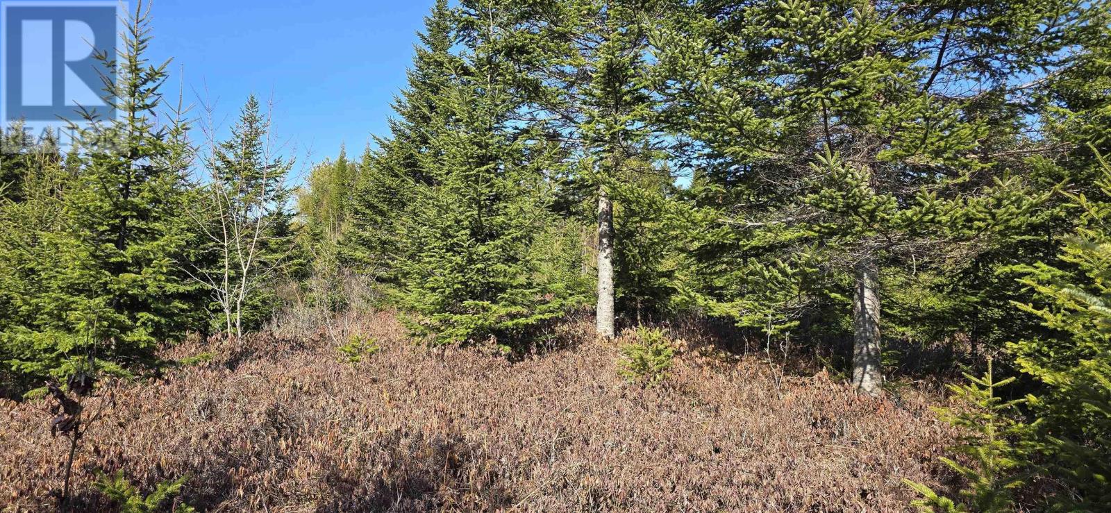 Lot 2021-2 Lacey Mines Road Property Photo 13