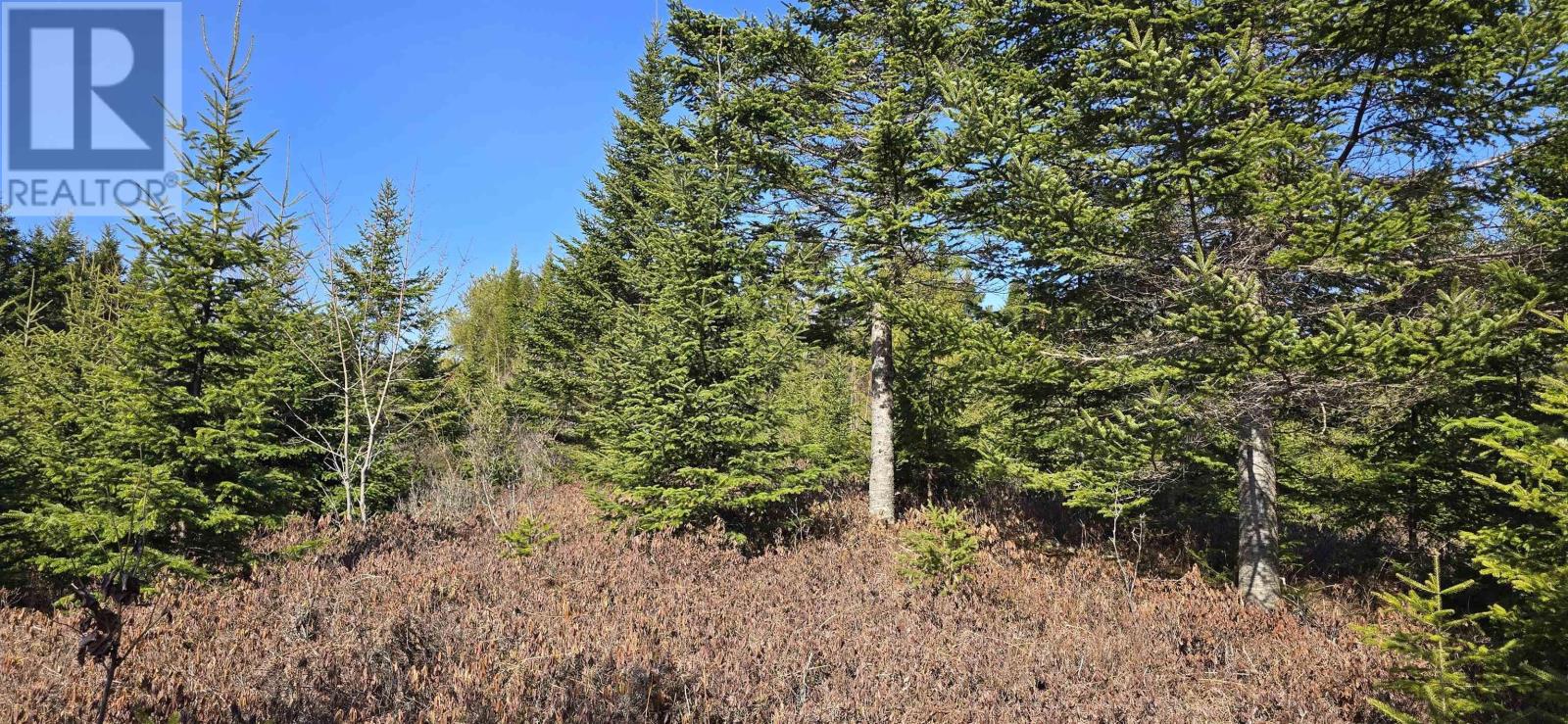 Lot 2021-2 Lacey Mines Road Property Photo 14
