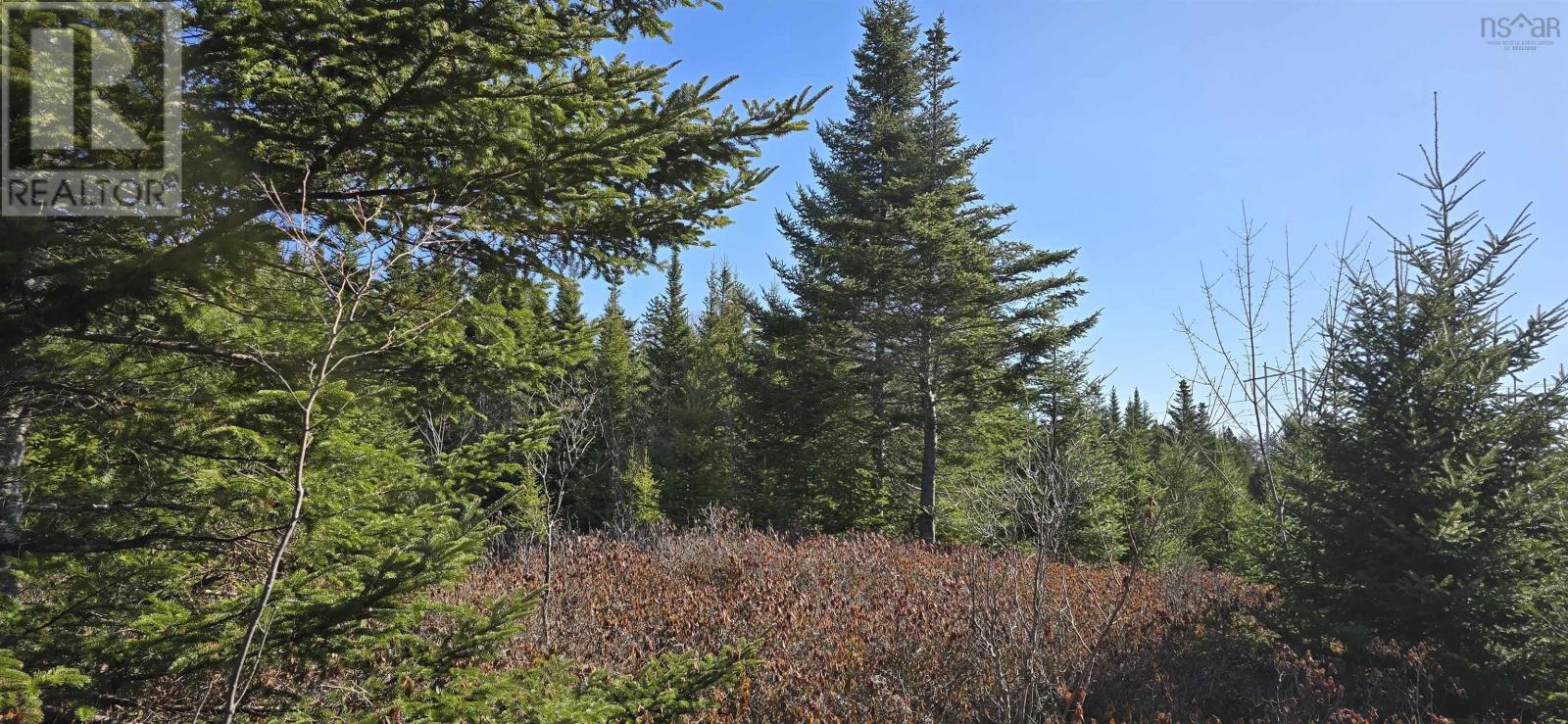 Lot 2021-2 Lacey Mines Road Property Photo 15