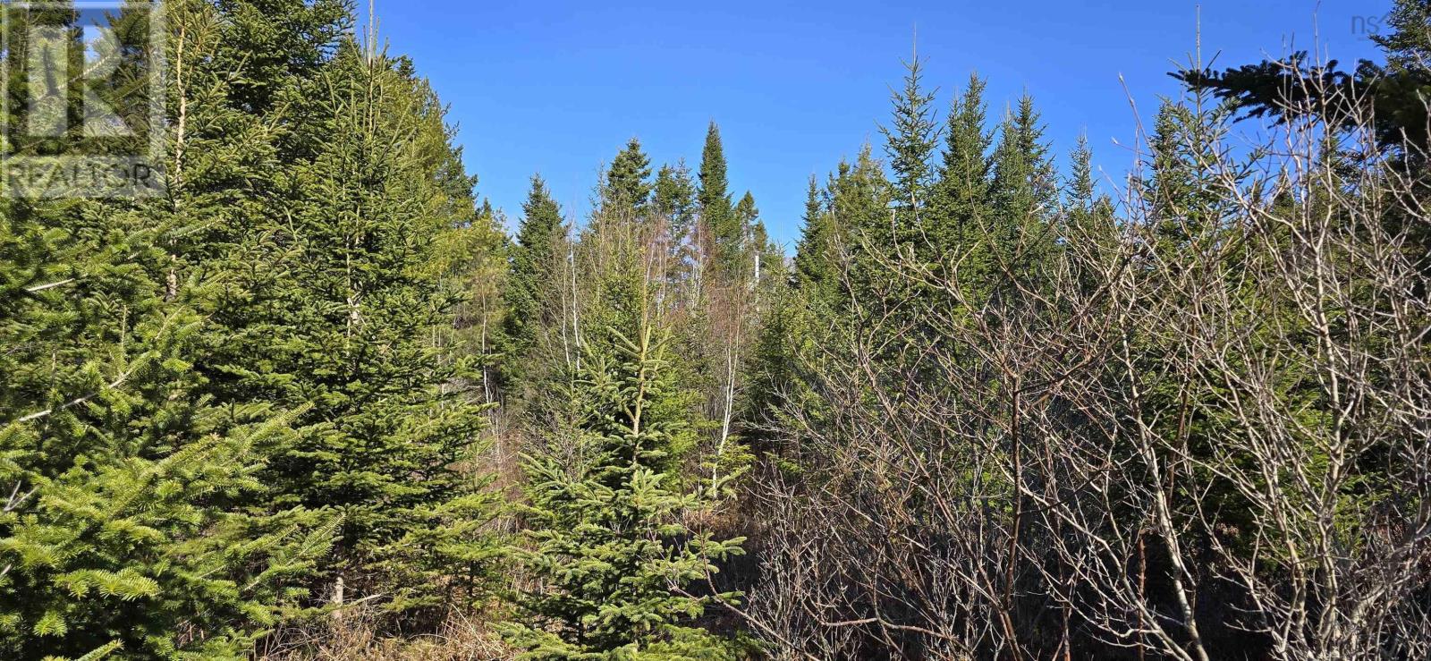 Lot 2021-2 Lacey Mines Road Property Photo 16