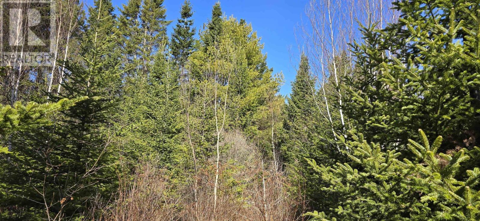 Lot 2021-2 Lacey Mines Road Property Photo 17