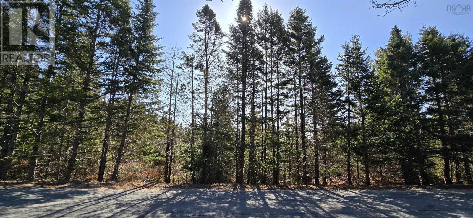 Lot 2021-2 Lacey Mines Road Property Photo 18