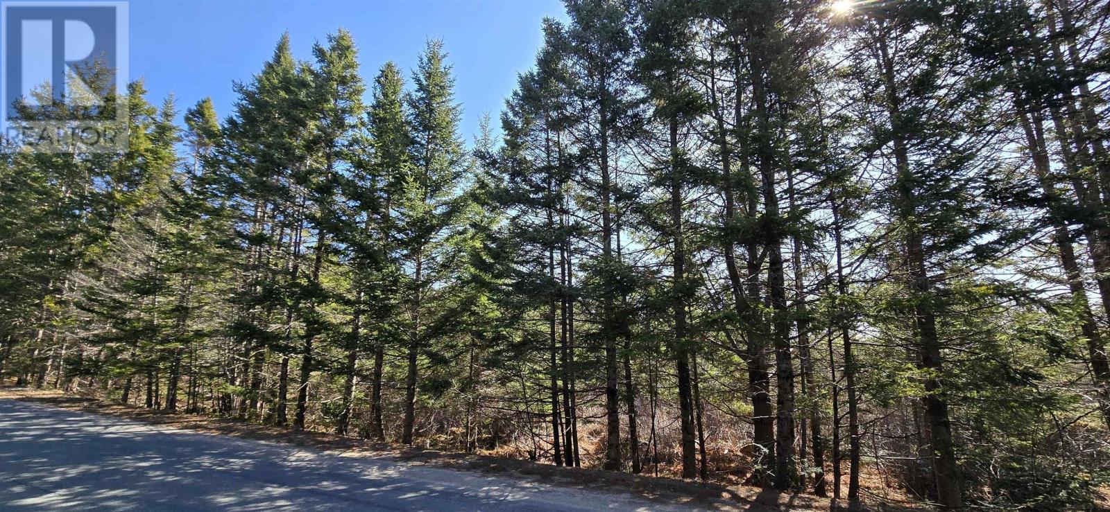 Lot 2021-2 Lacey Mines Road Property Photo 19
