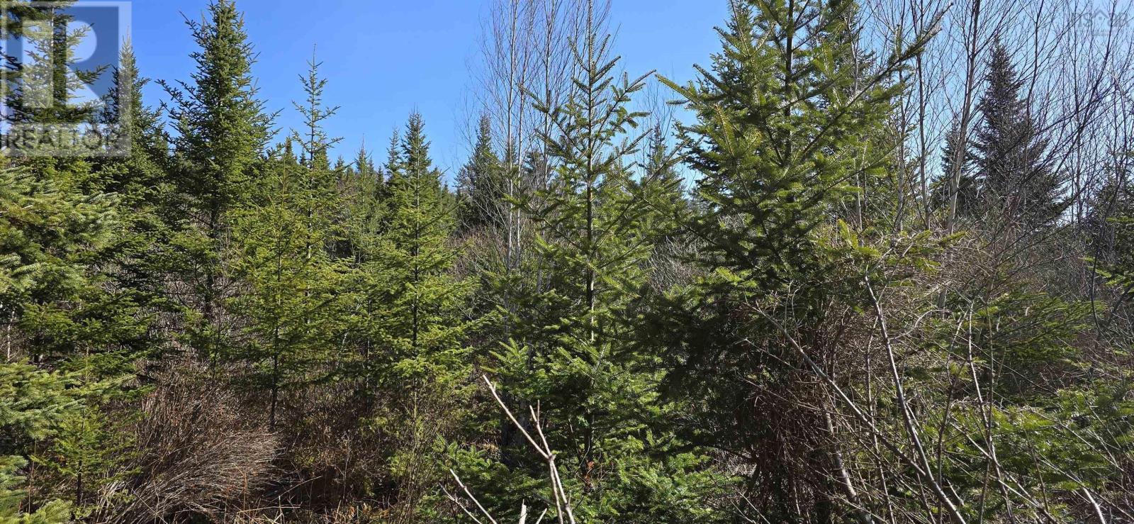 Lot 2021-2 Lacey Mines Road Property Photo 20