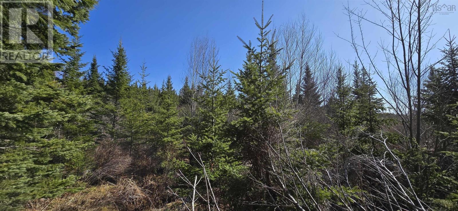Lot 2021-2 Lacey Mines Road Property Photo 21