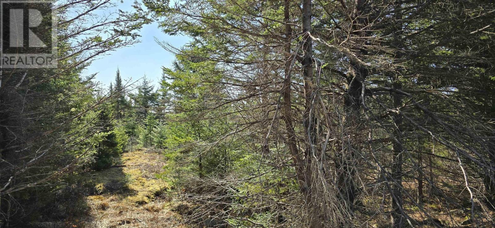 Lot 2021-2 Lacey Mines Road Property Photo 22
