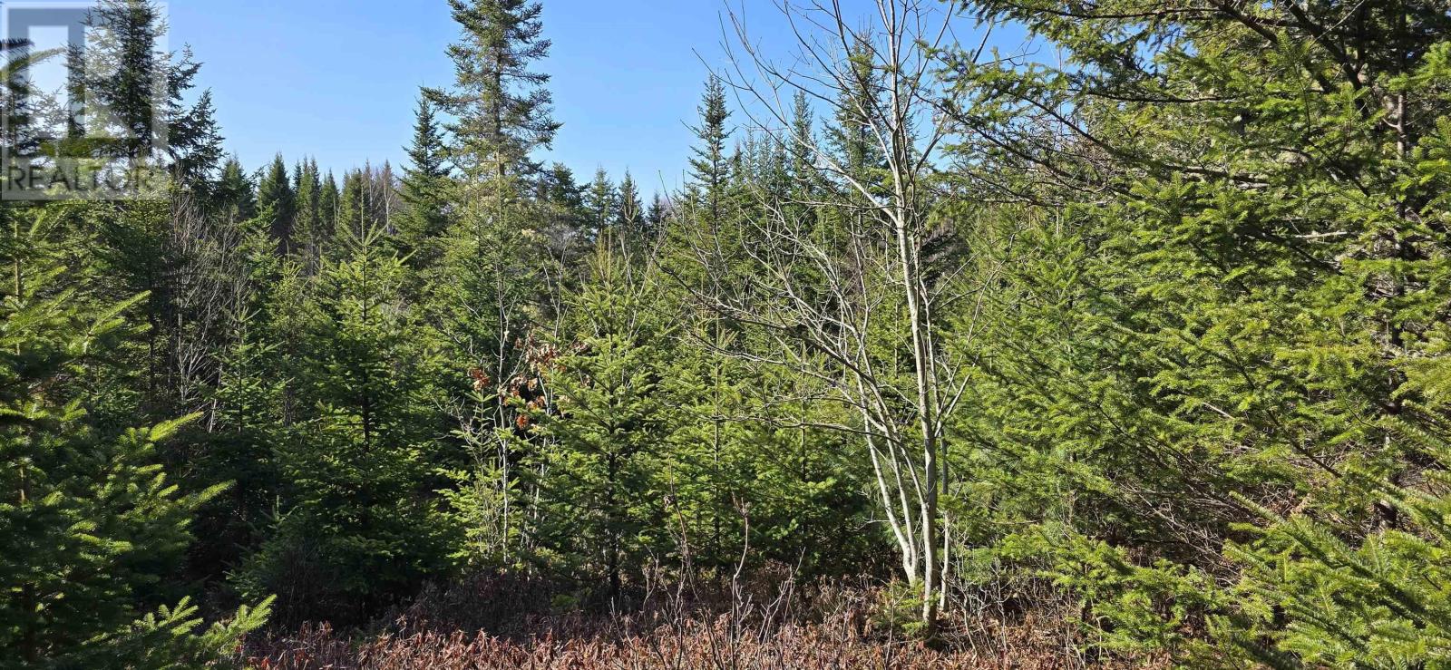 Lot 2021-2 Lacey Mines Road Property Photo 23