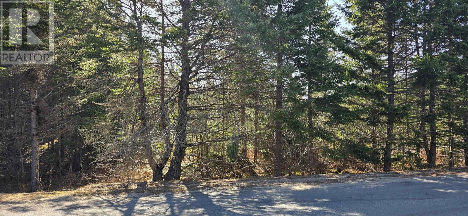 Lot 2021-2 Lacey Mines Road Property Photo 24