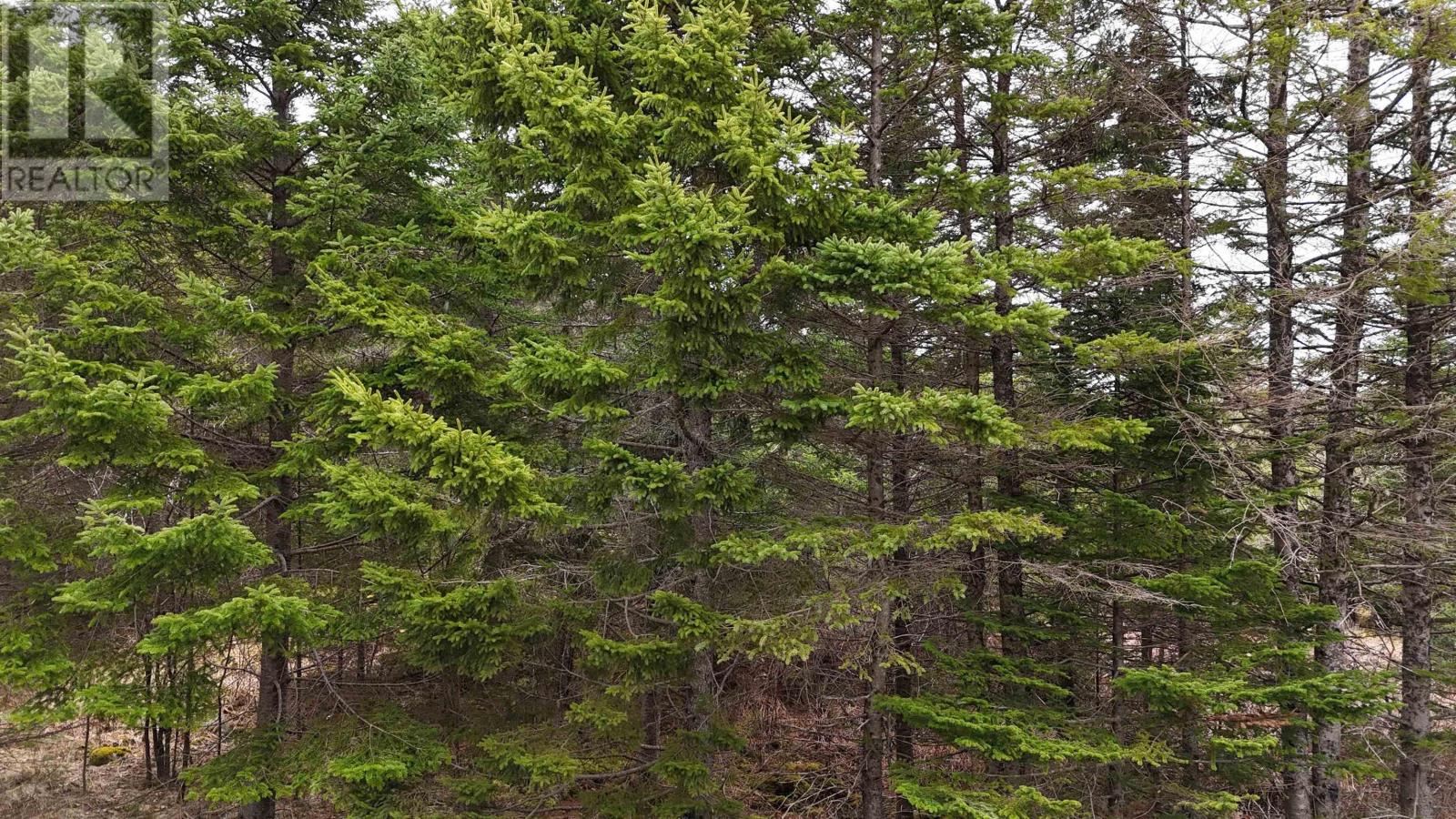 Lot 2021-2 Lacey Mines Road Property Photo 27