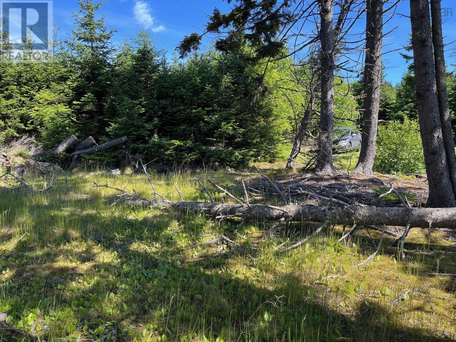 8208 Highway 209 Property Photo 7