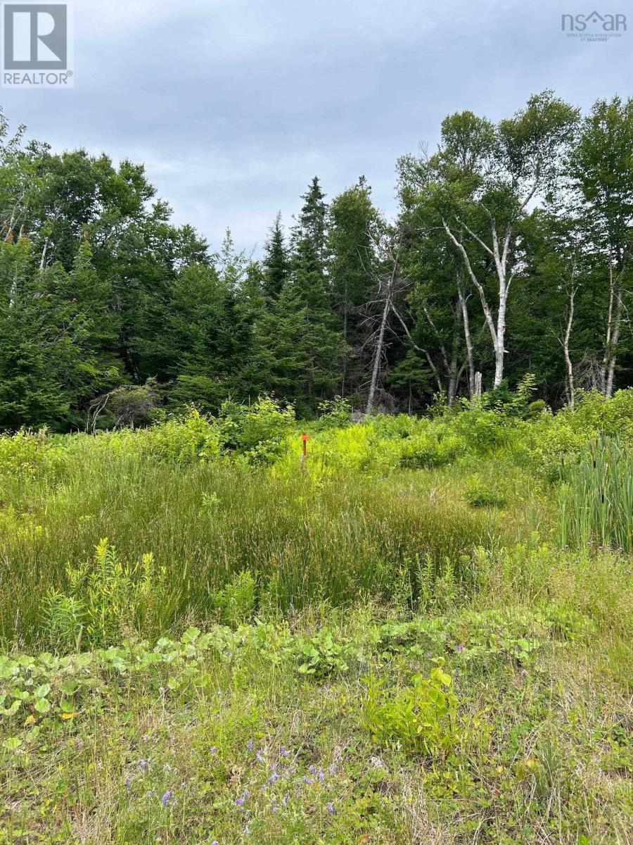 Lot 30 Militia Point Road Property Photo 20