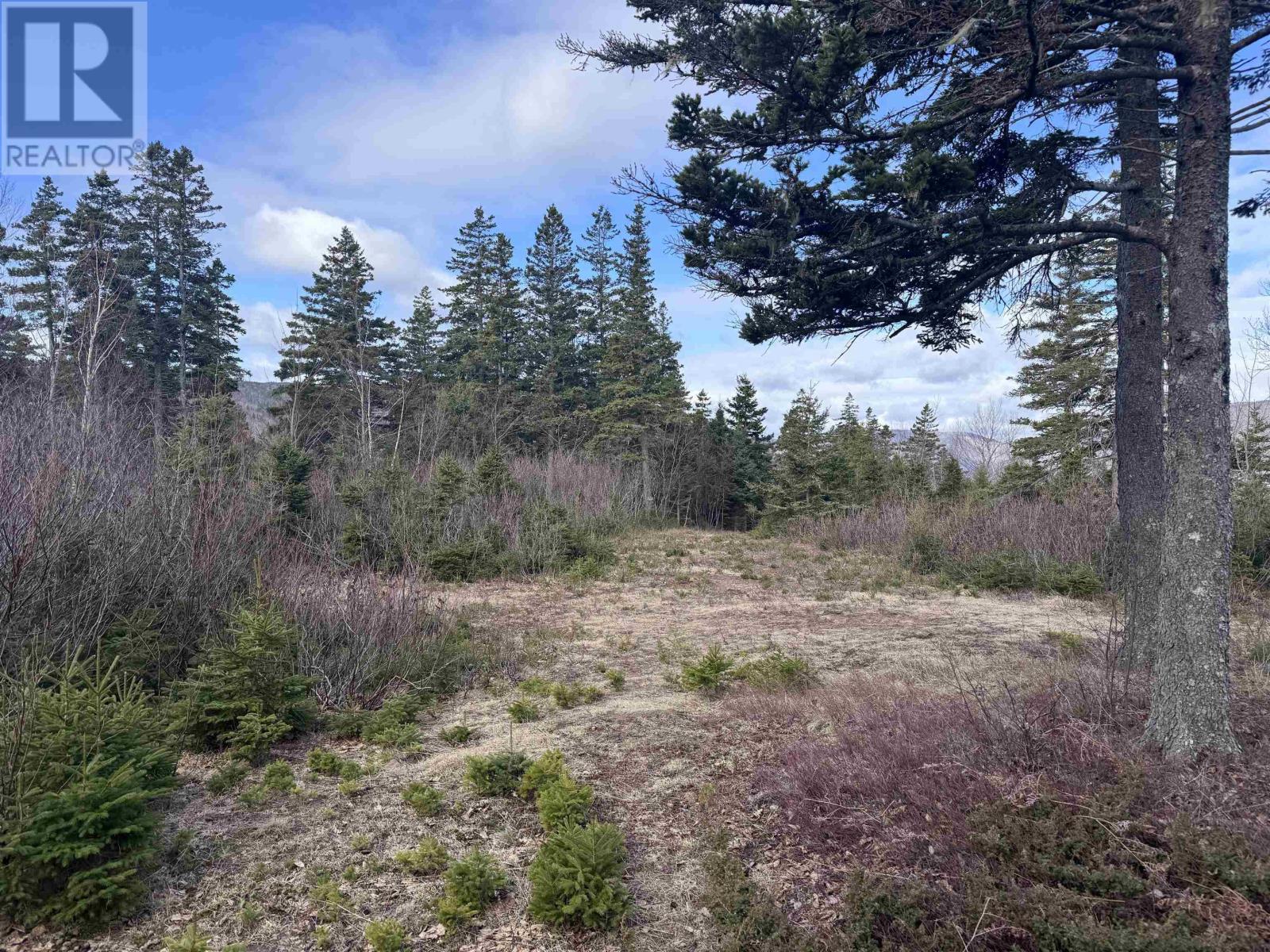 Cabot Trail Property Photo 2