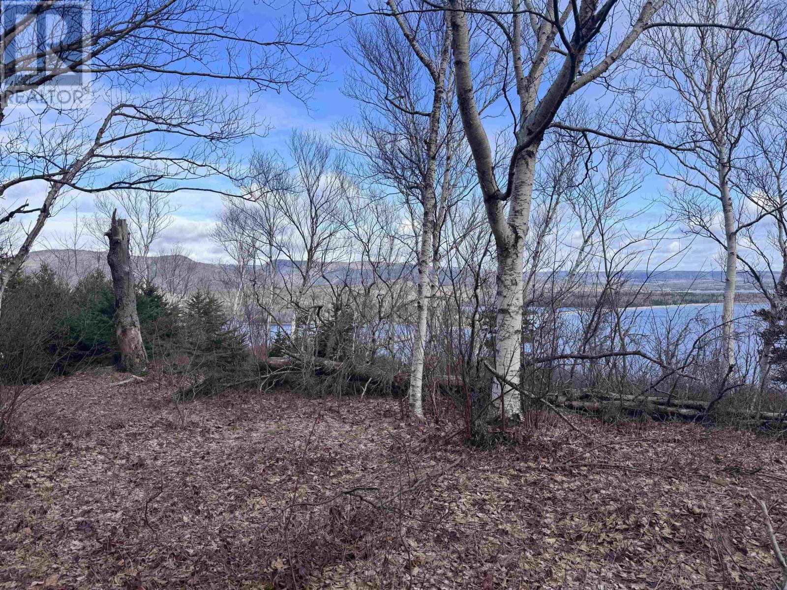 Cabot Trail Property Photo 3