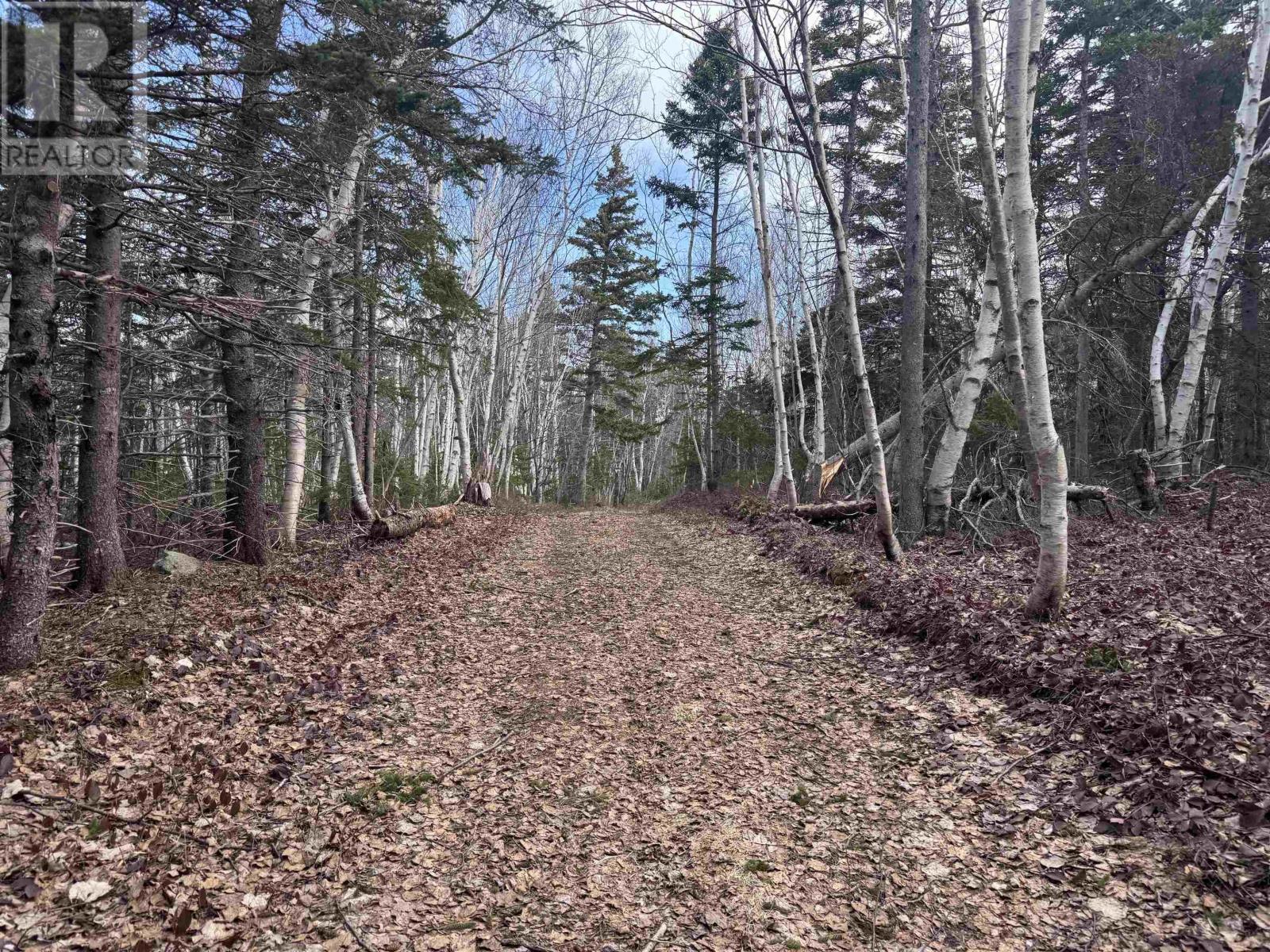 Cabot Trail Property Photo 8