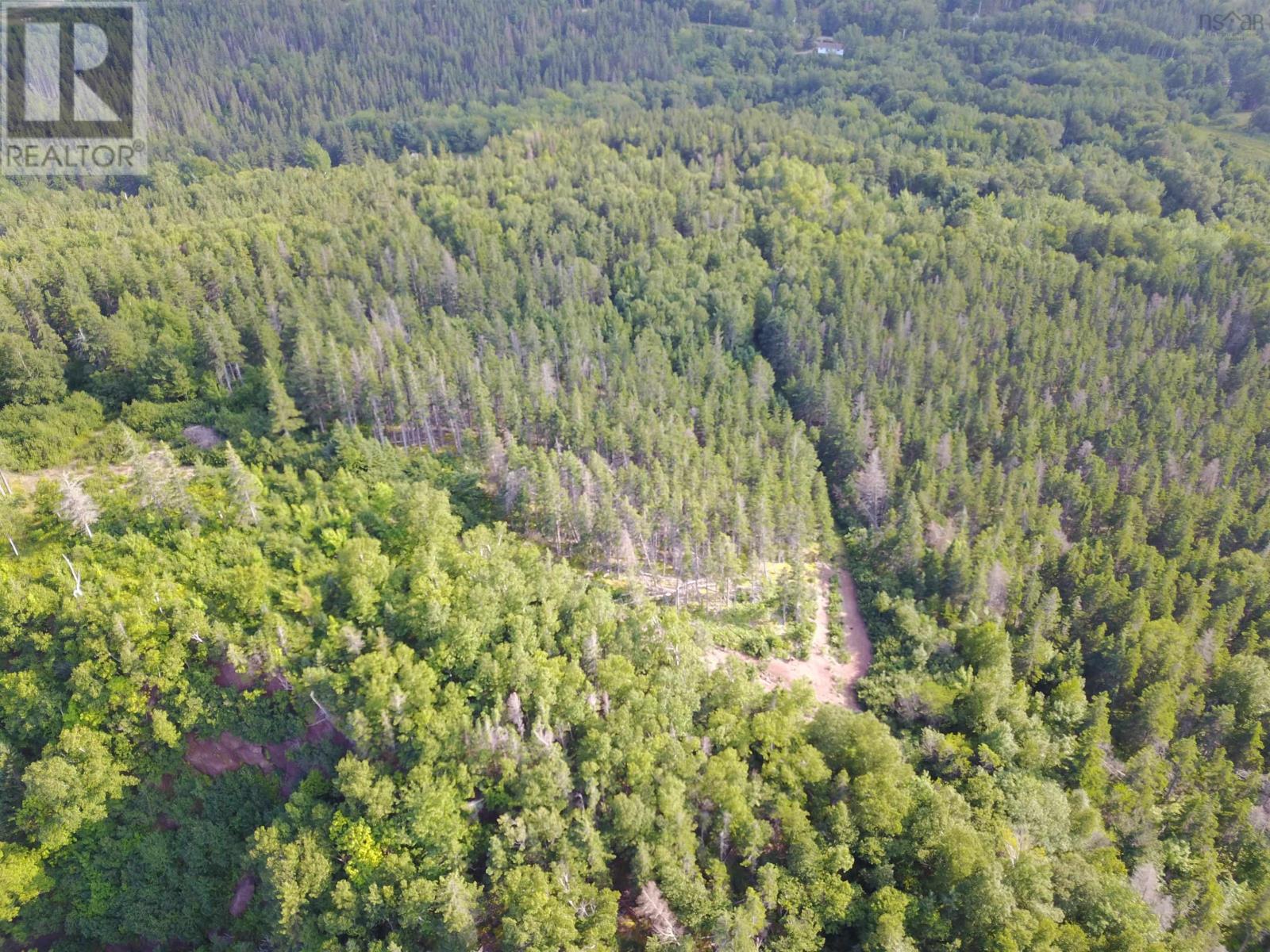 Cabot Trail Property Photo 10