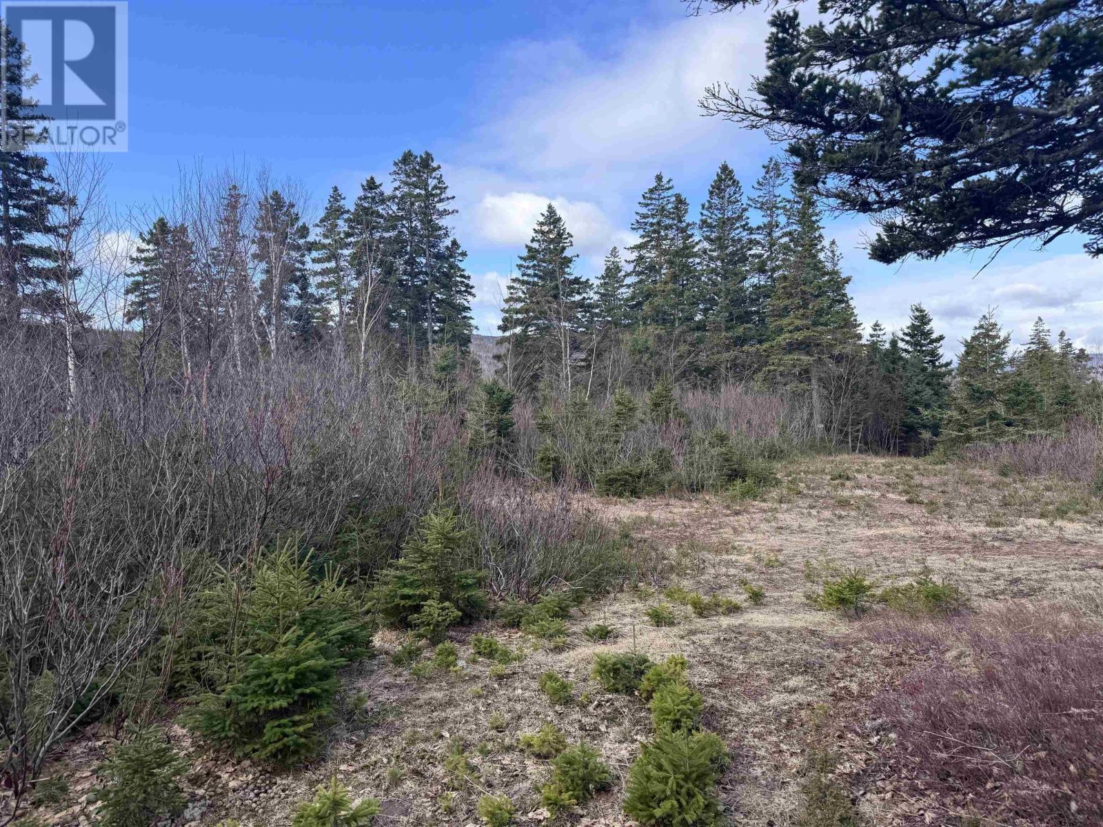 Cabot Trail Property Photo 30