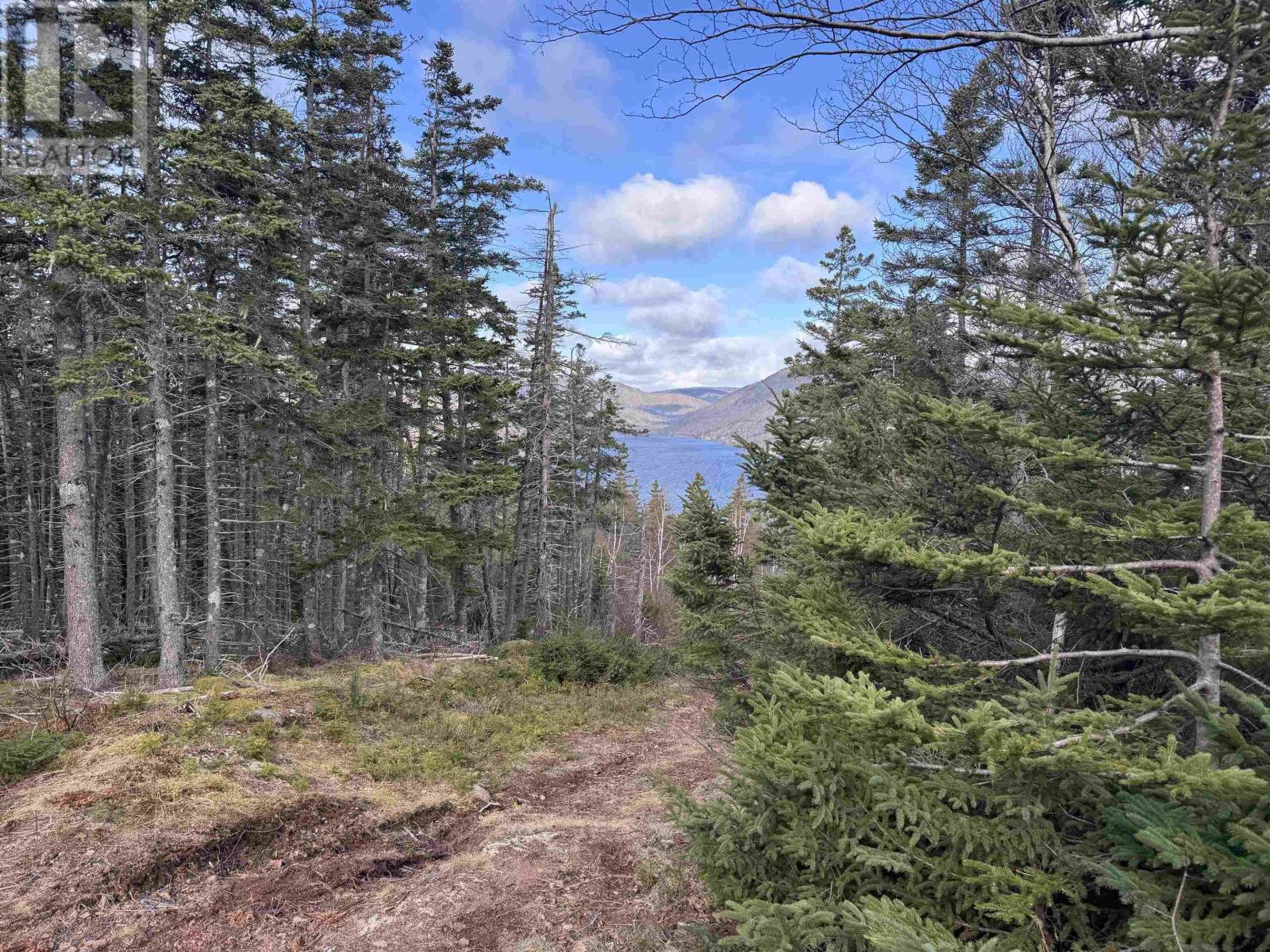 Cabot Trail Property Photo 31