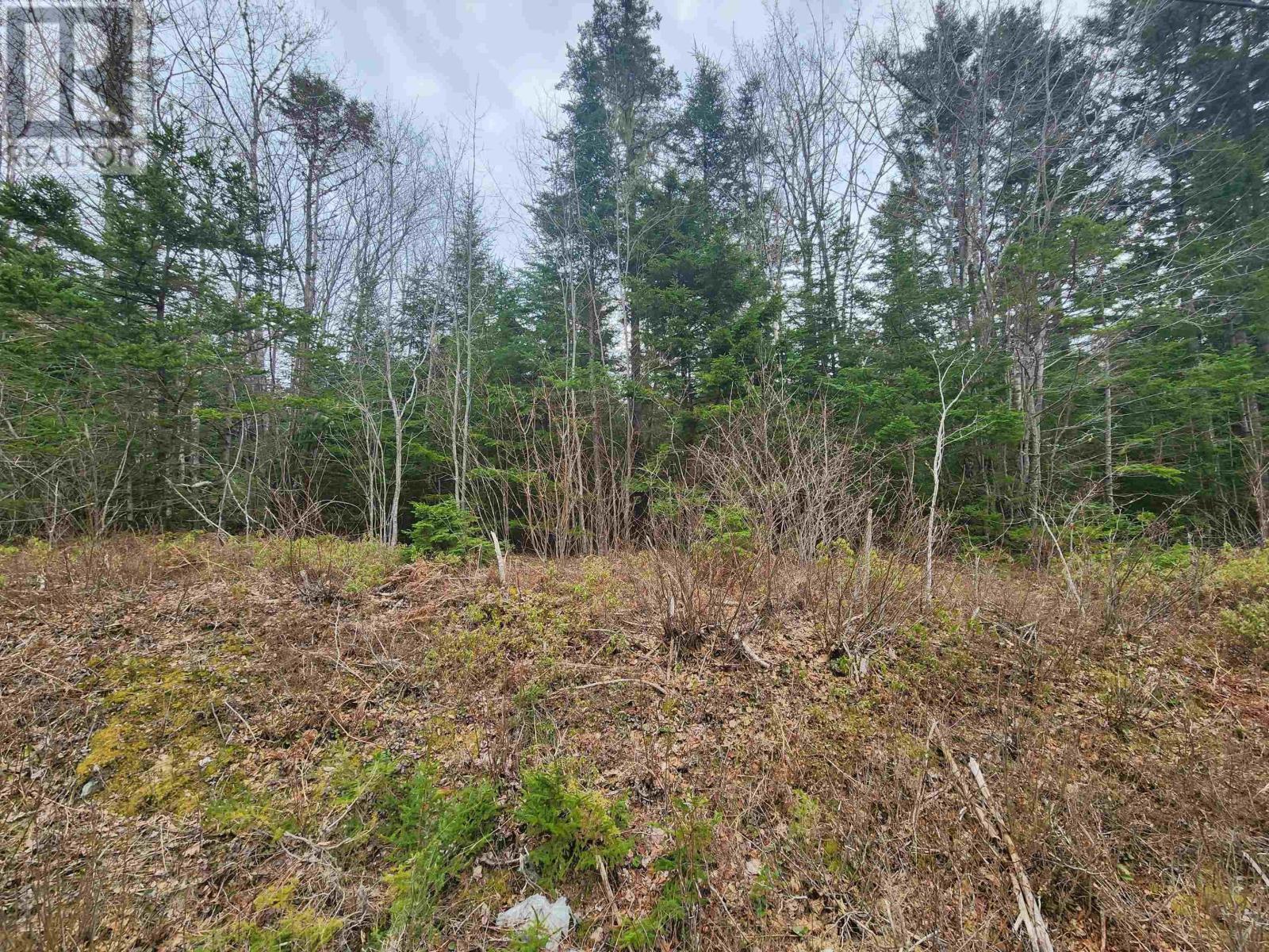 Lot Highway 340 Property Photo 4