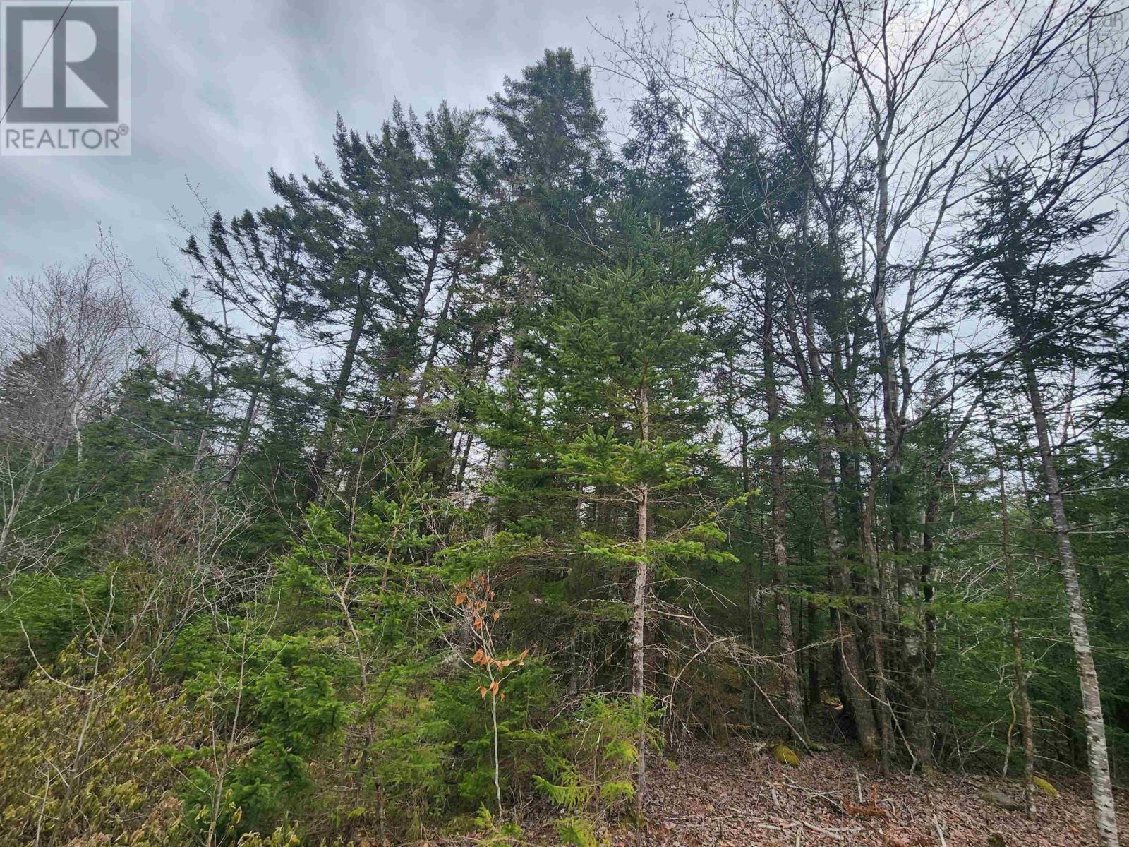 Lot Highway 340 Property Photo 6