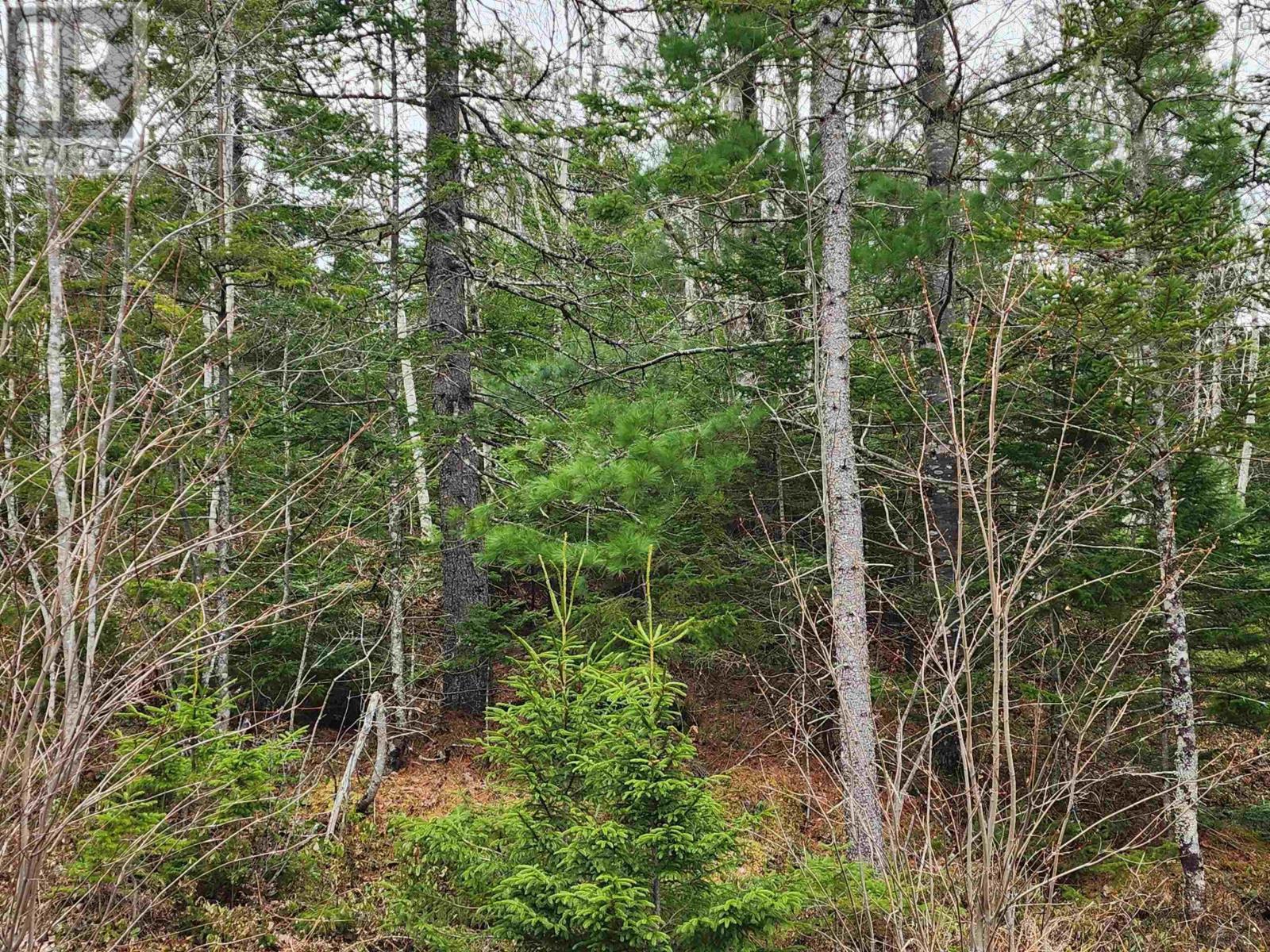 Lot Highway 340 Property Photo 7