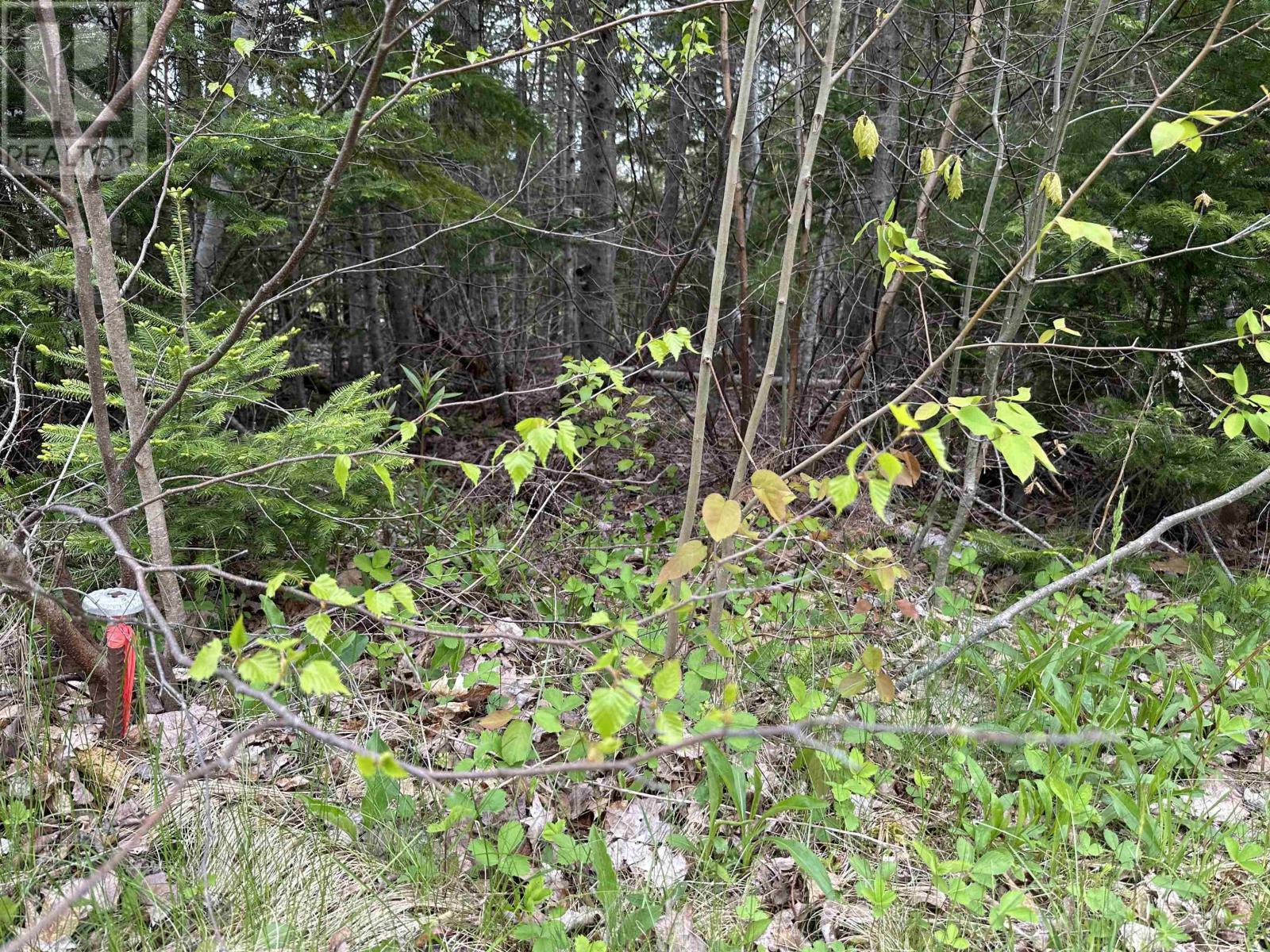 Lot Wallace Road Property Photo 3