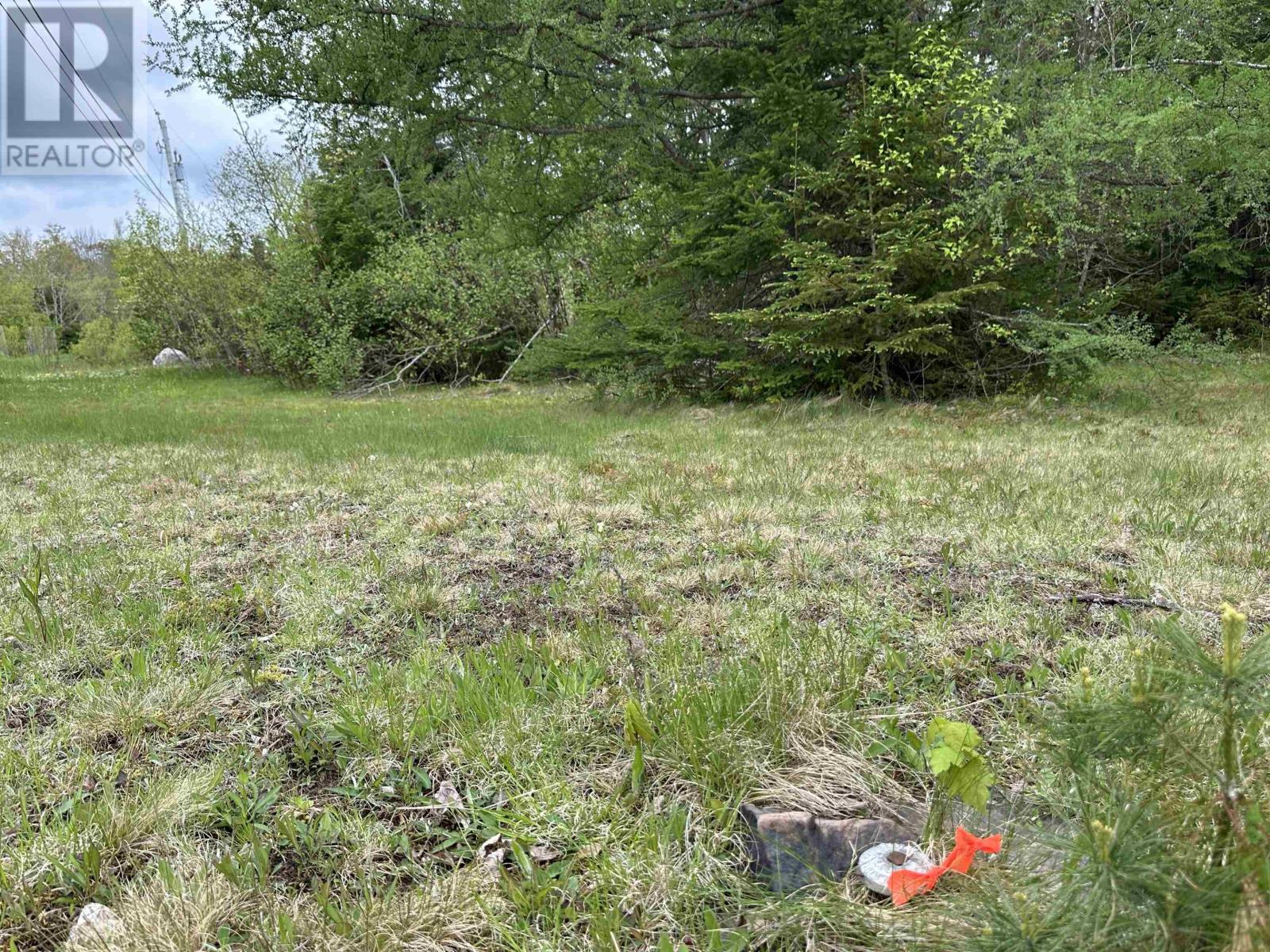 Lot Wallace Road Property Photo 4
