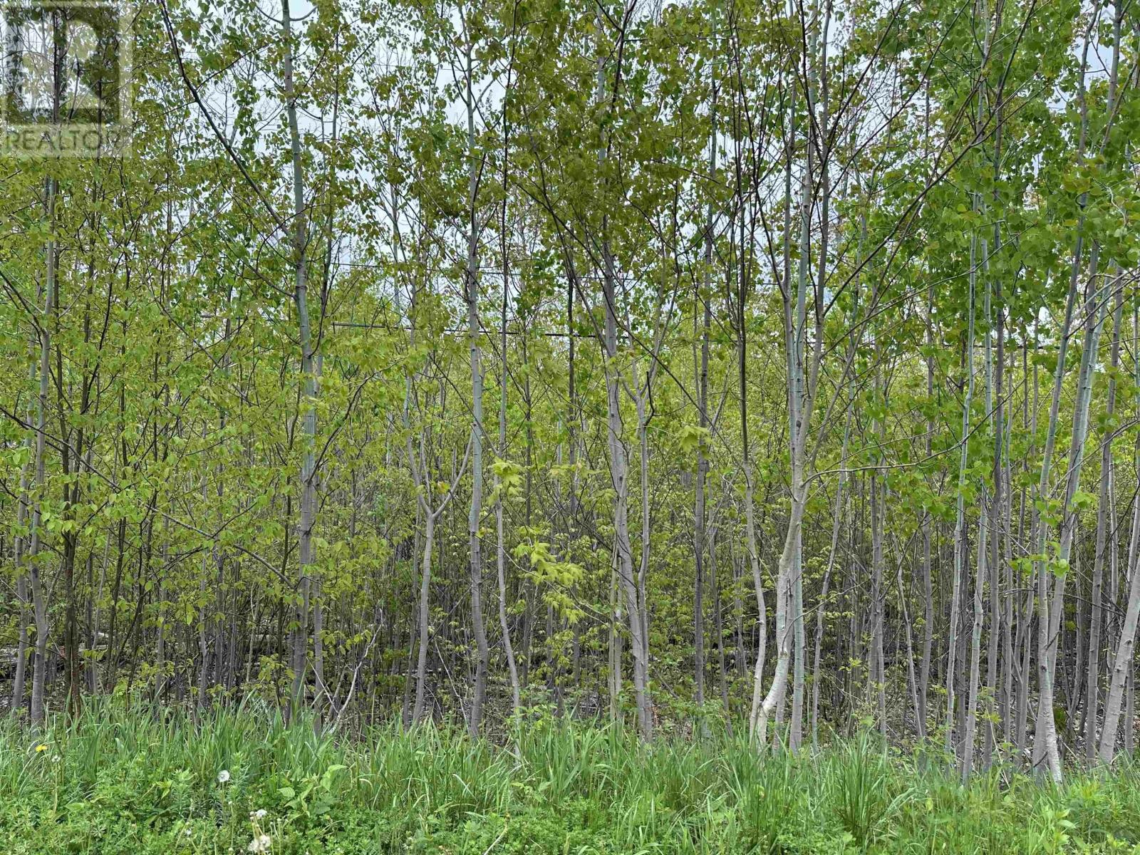 Lot Wallace Road Property Photo 5