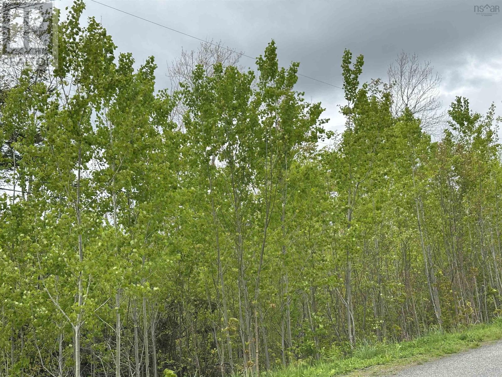 Lot Wallace Road Property Photo 6