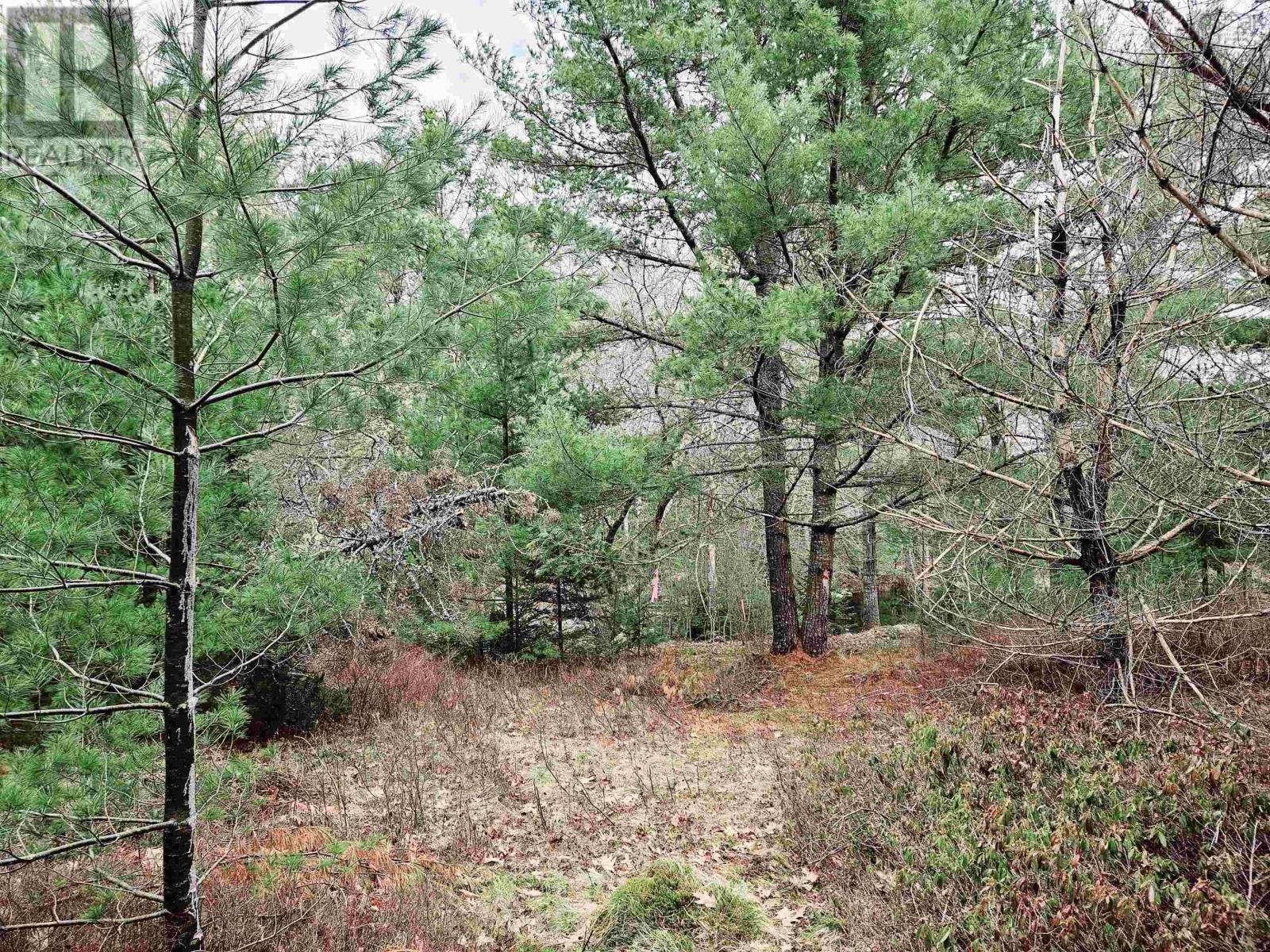 Lot 13 Maple Drive Property Photo 3