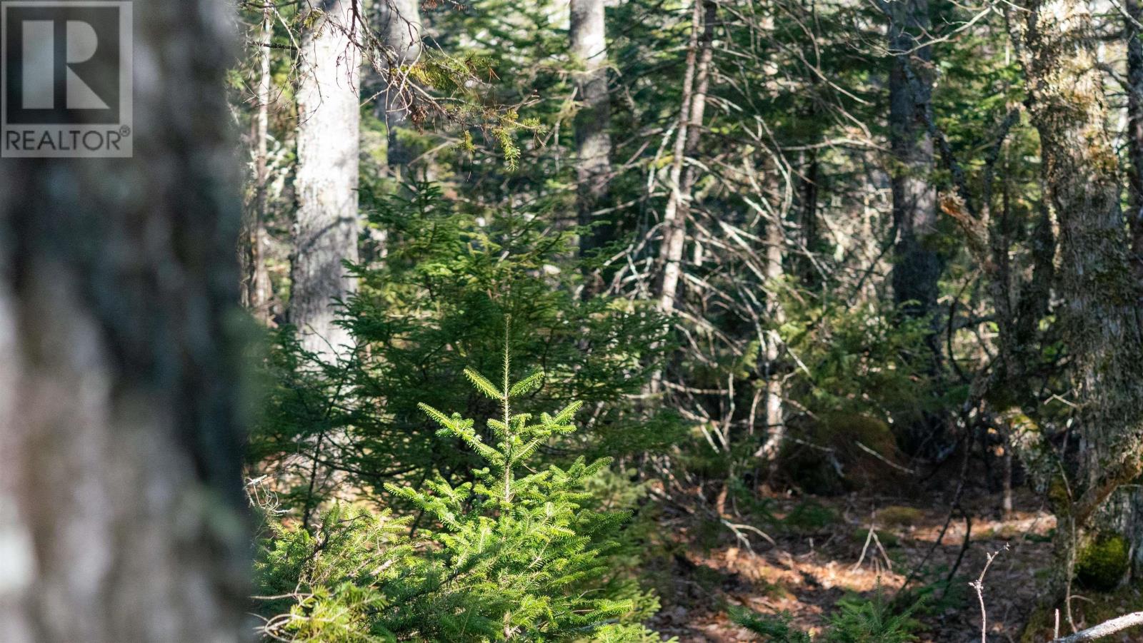 Lot 14 Maple Drive Property Photo 10