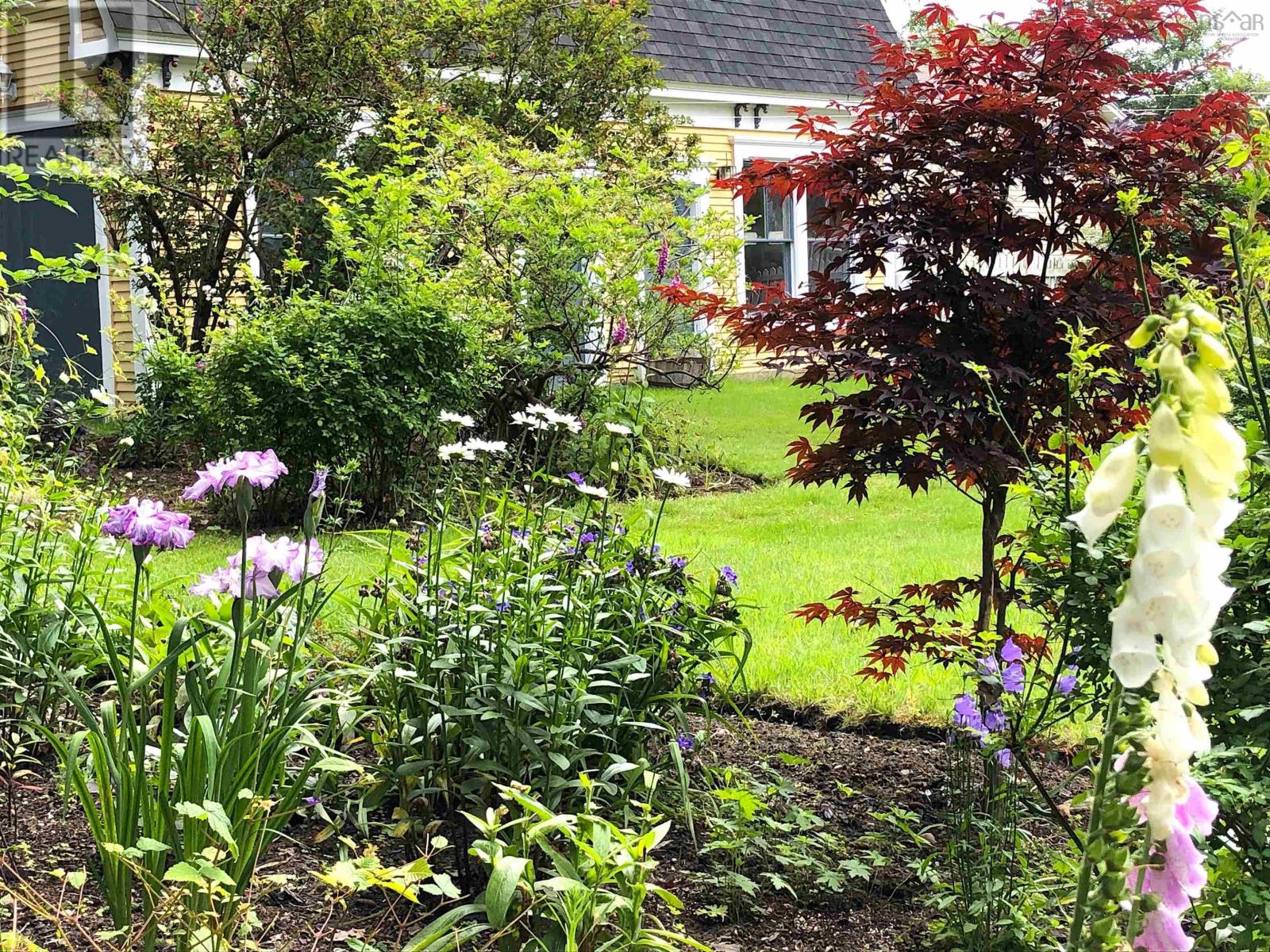 57 William Street Property Photo 43