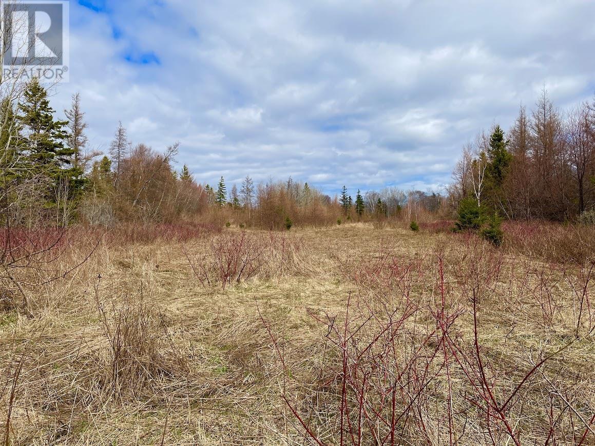 Acreage Grand Digue Road, Rte 170 Property Photo 7
