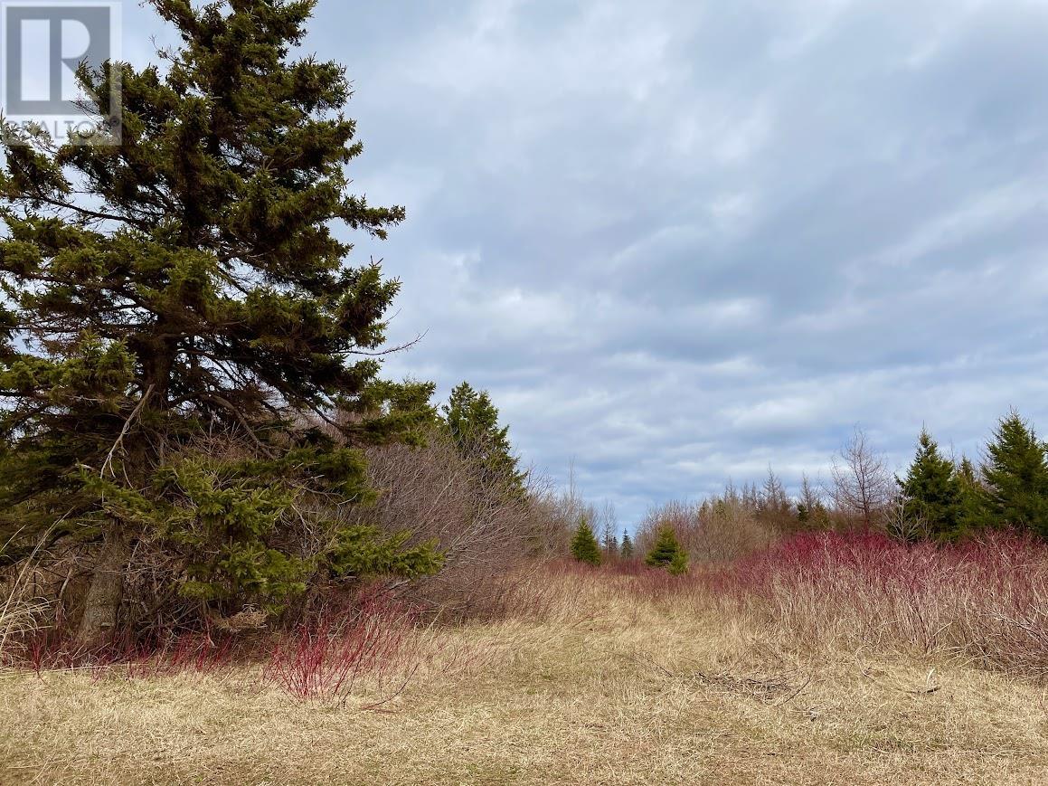 Acreage Grand Digue Road, Rte 170 Property Photo 9