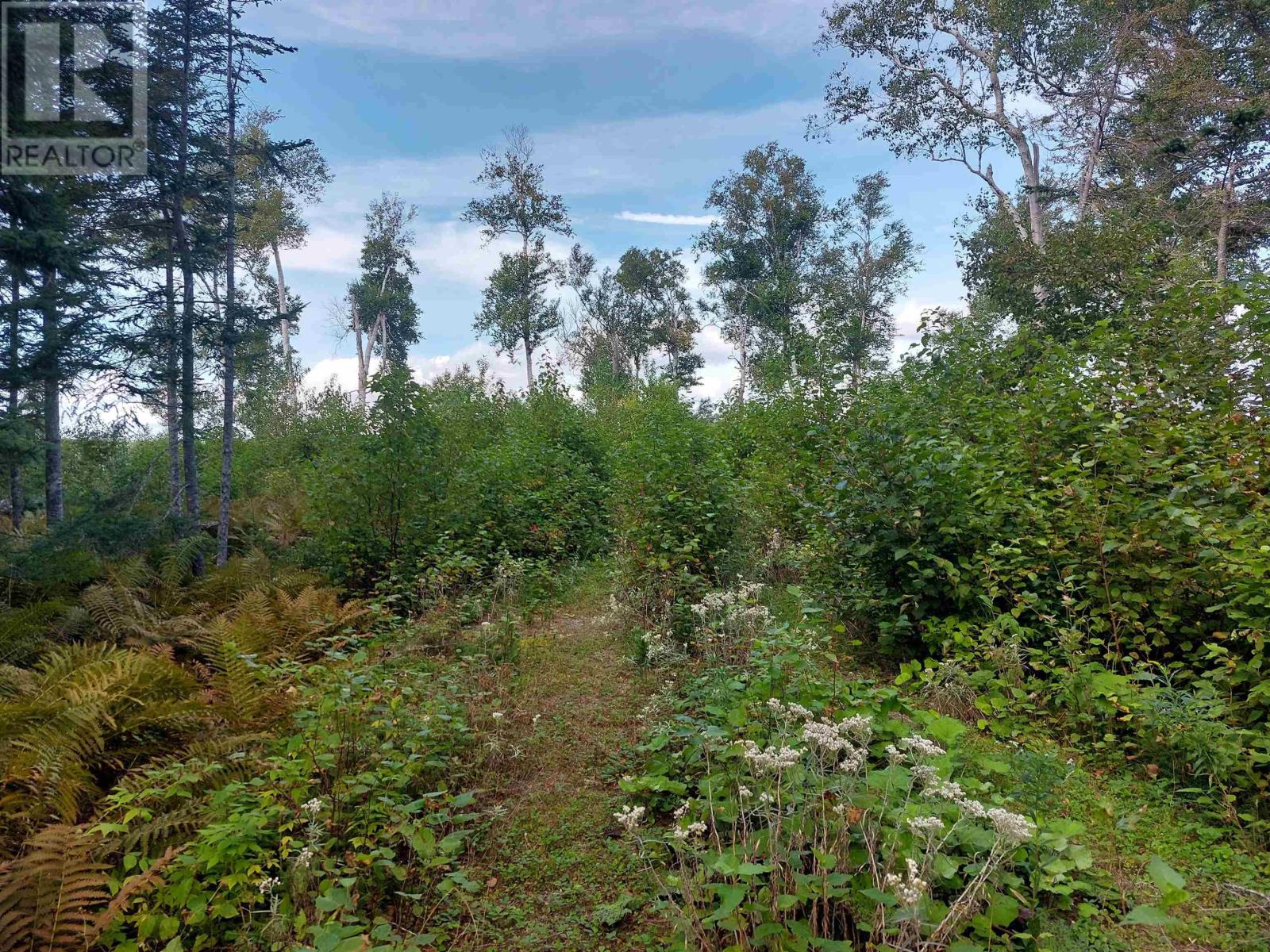 Lot 23 Sky Way Property Photo 8