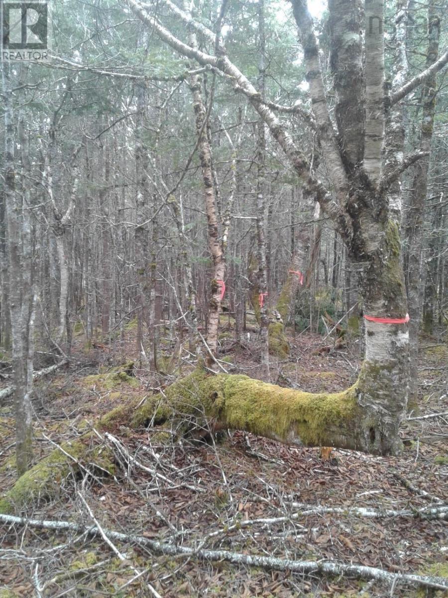 No # Terra Nova Road Property Photo 2
