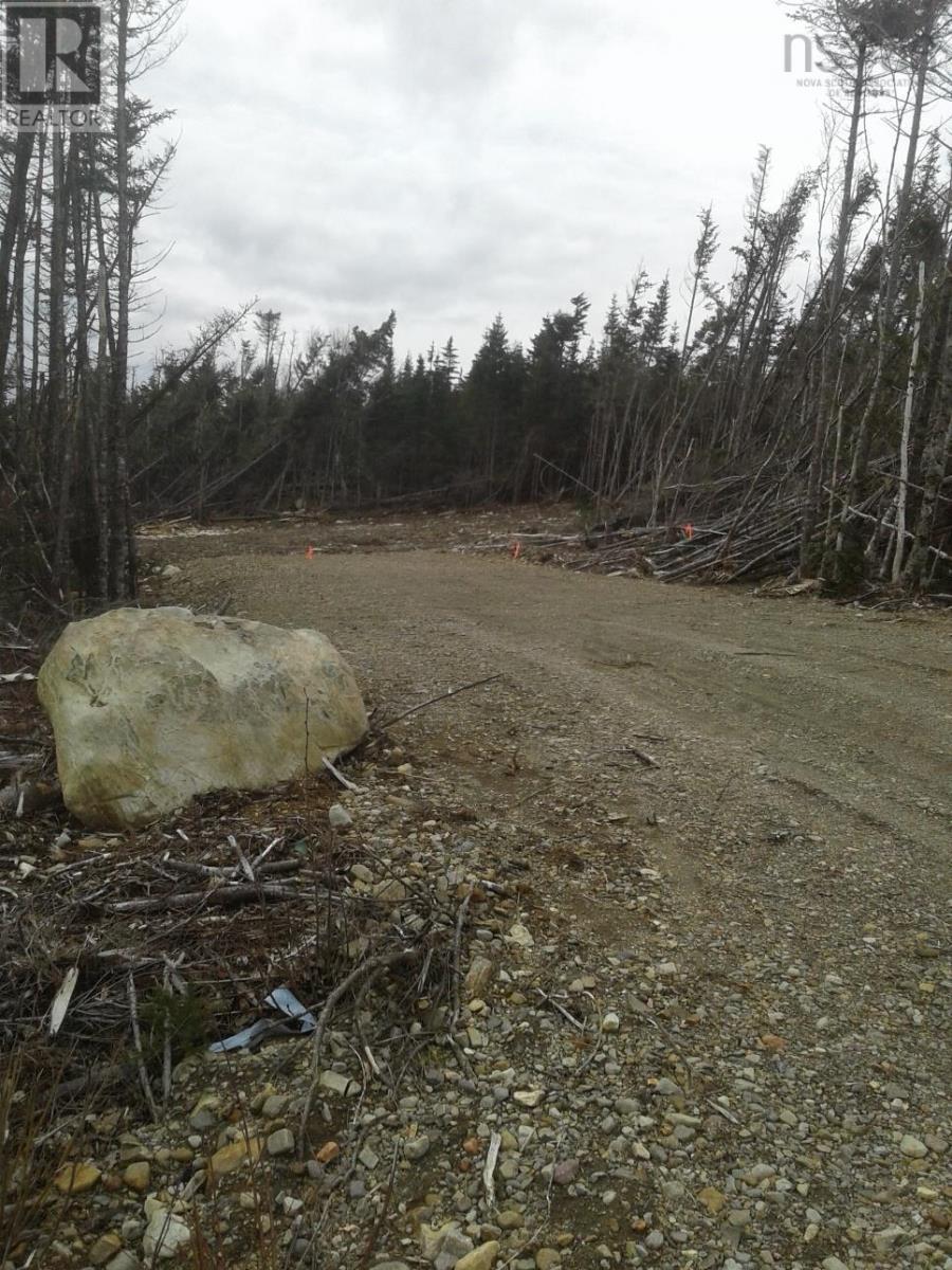 No # Terra Nova Road Property Photo 3