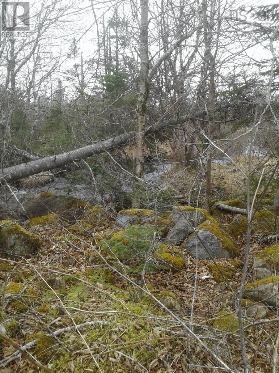 No # Terra Nova Road Property Photo 6