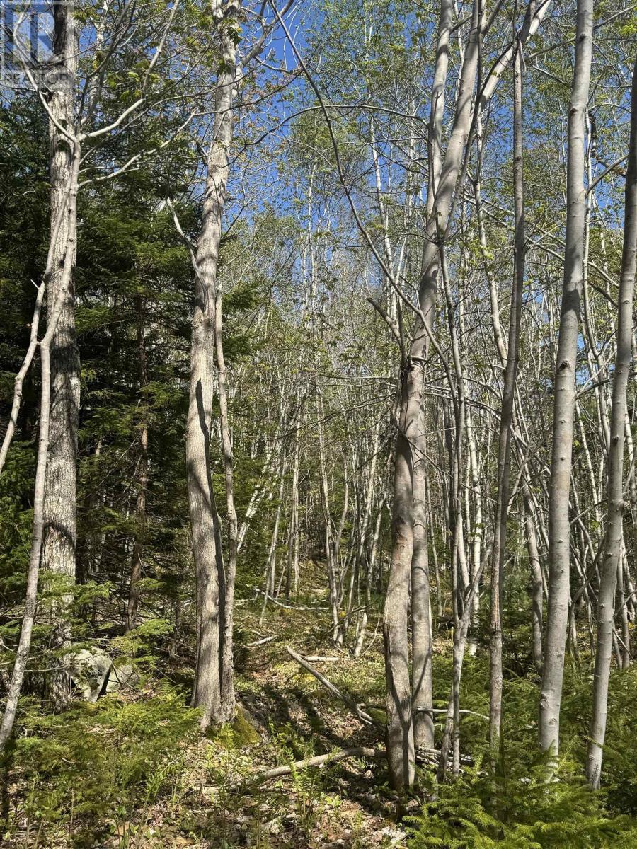 Lot (pid 70083050) James Street Property Photo 1