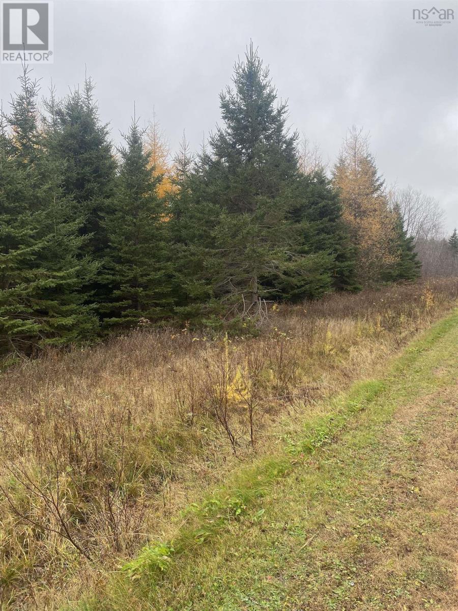 Lot 9 New Cheverie Road Property Photo 2